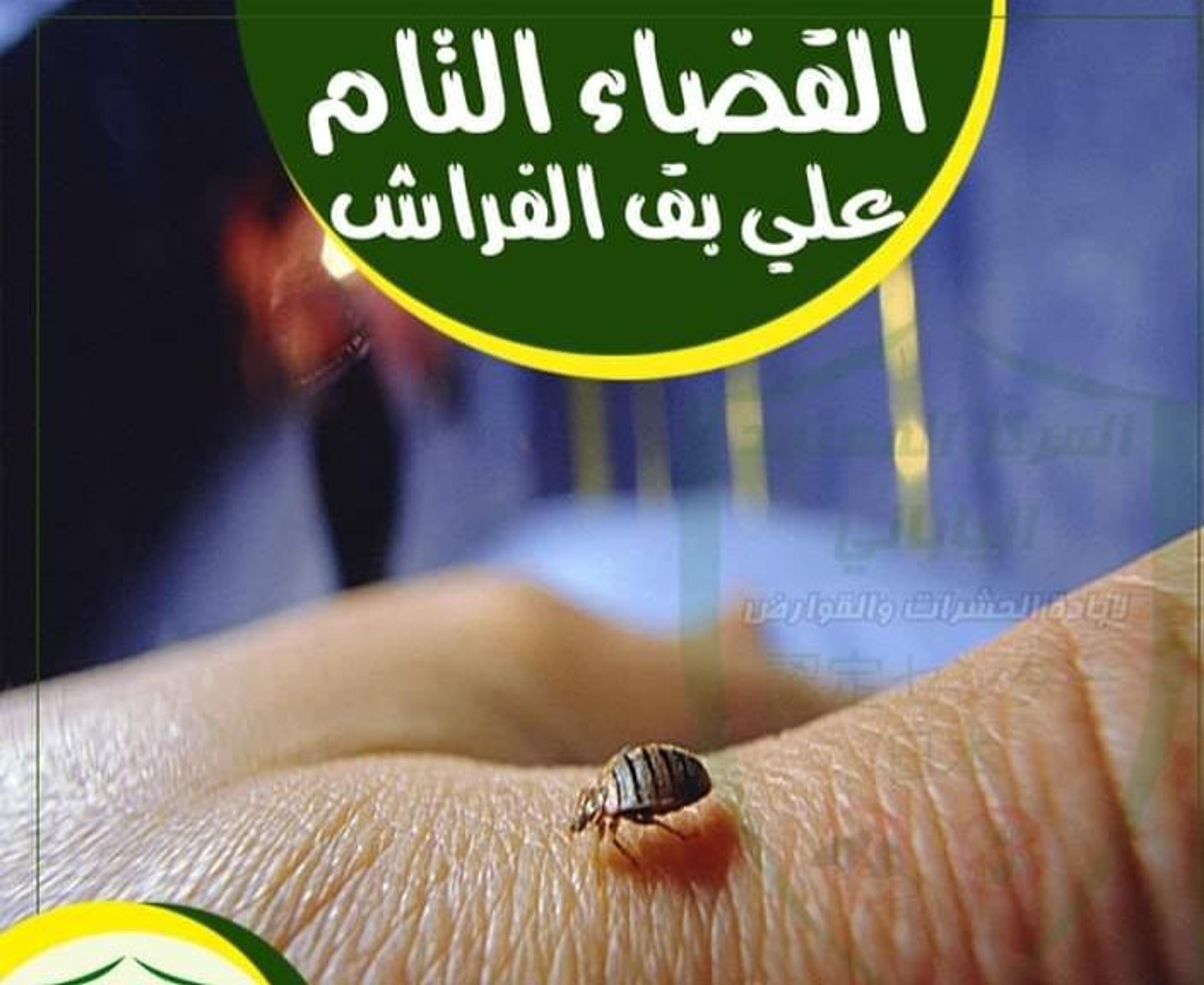 شركة منزلك لمكافحة جميع انوان الحشرات