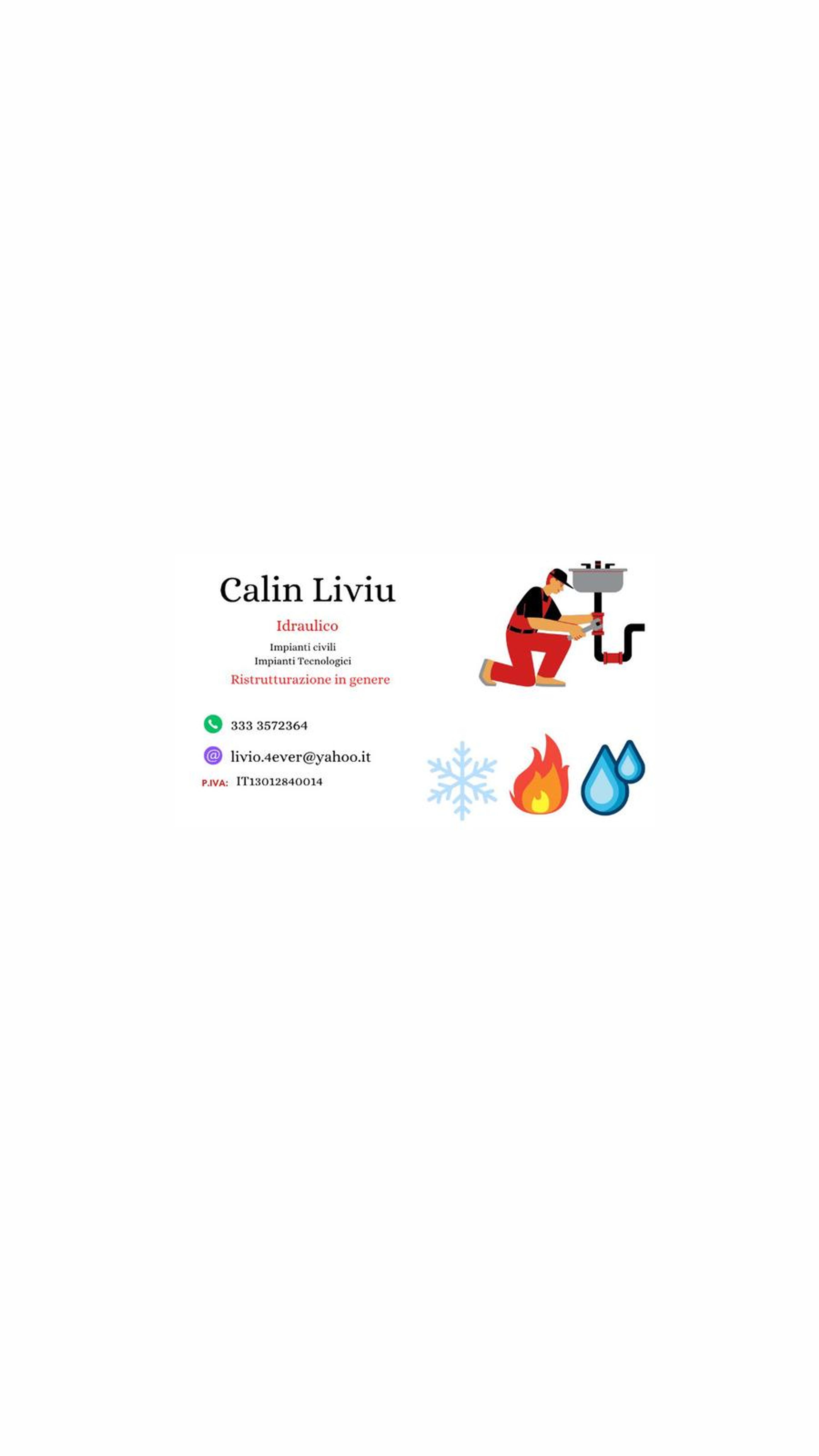 Liviu Calin