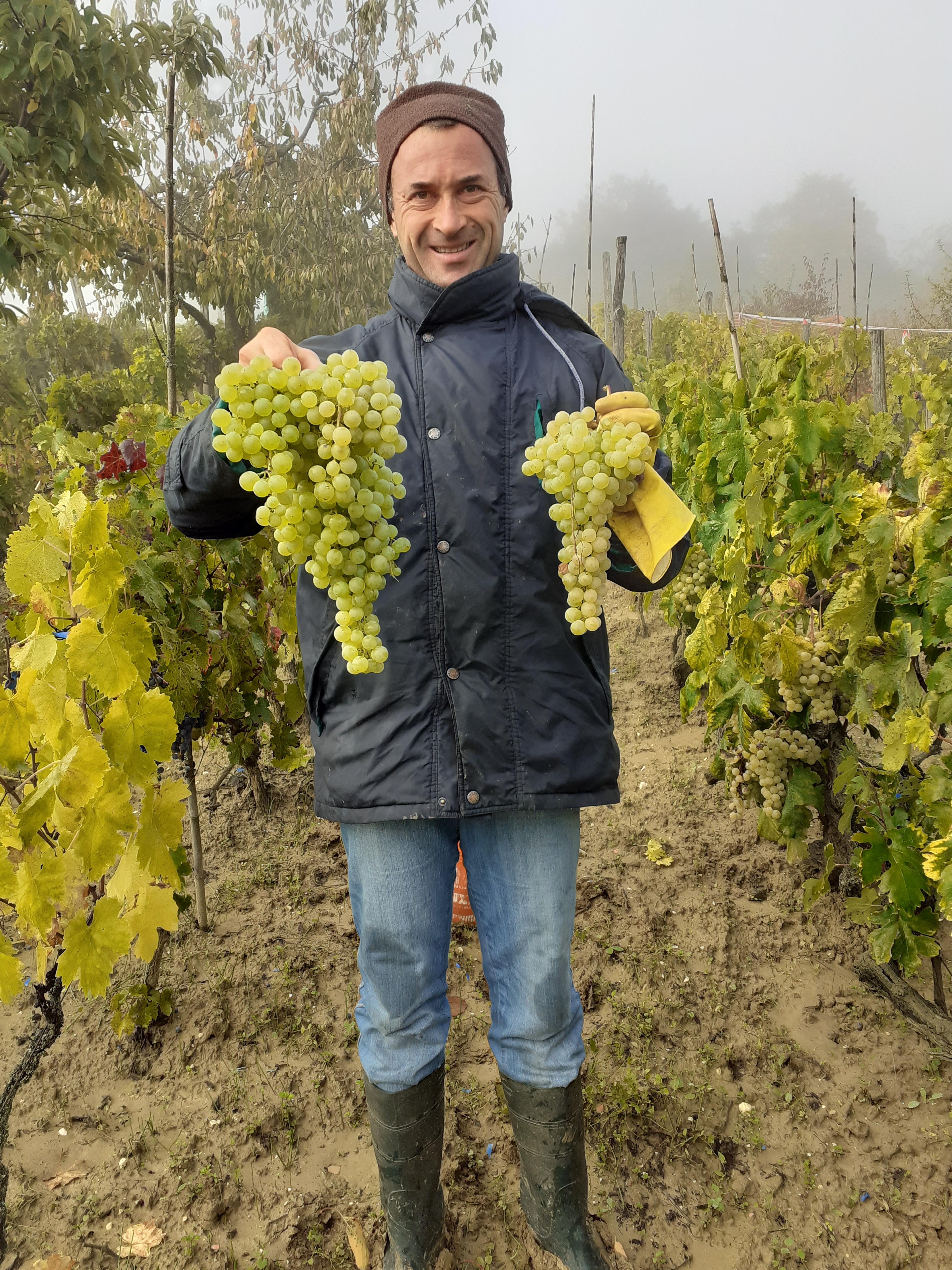 Azienda Agricola Colle Sant' Antonio