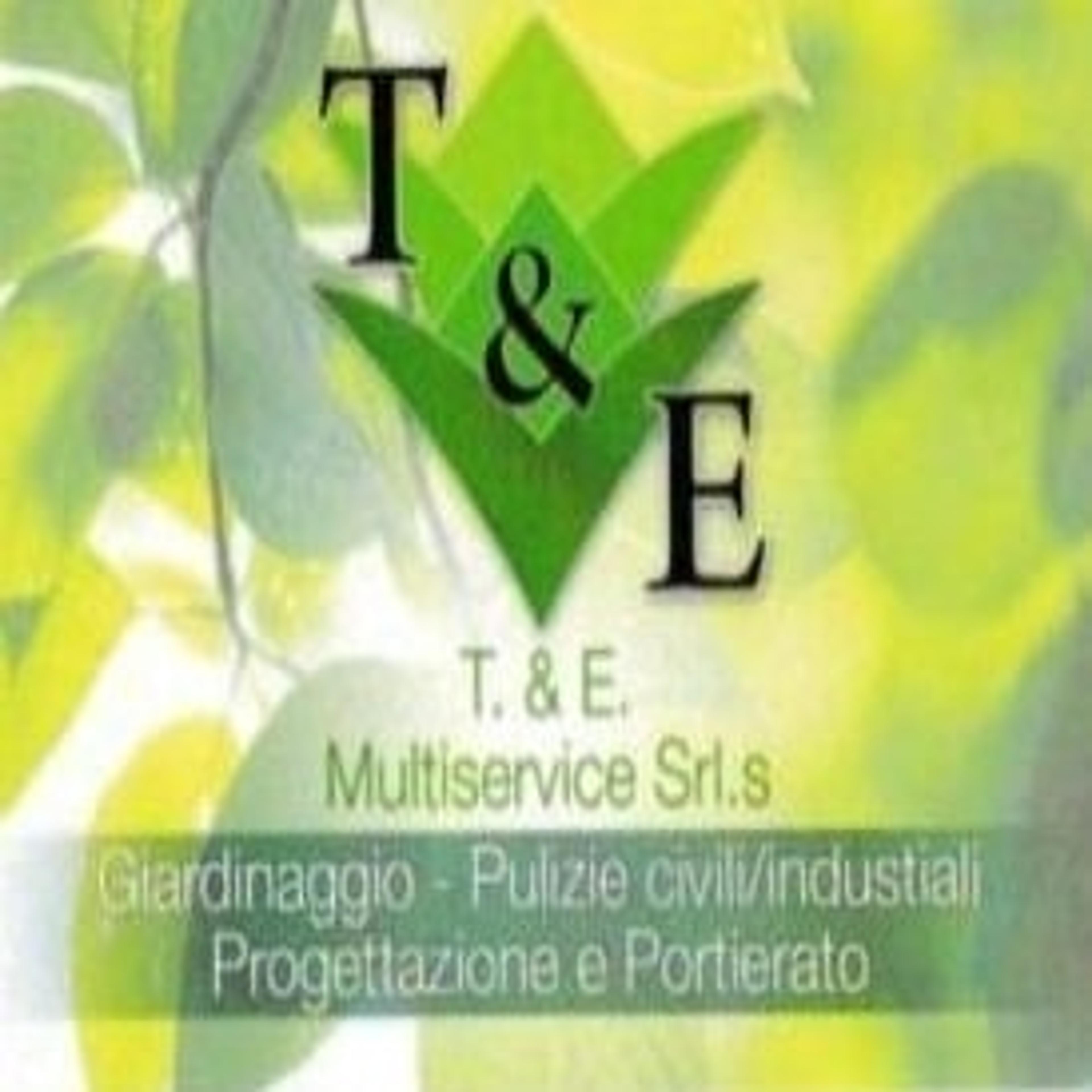 T.&E. MULTISERVICE SRL
