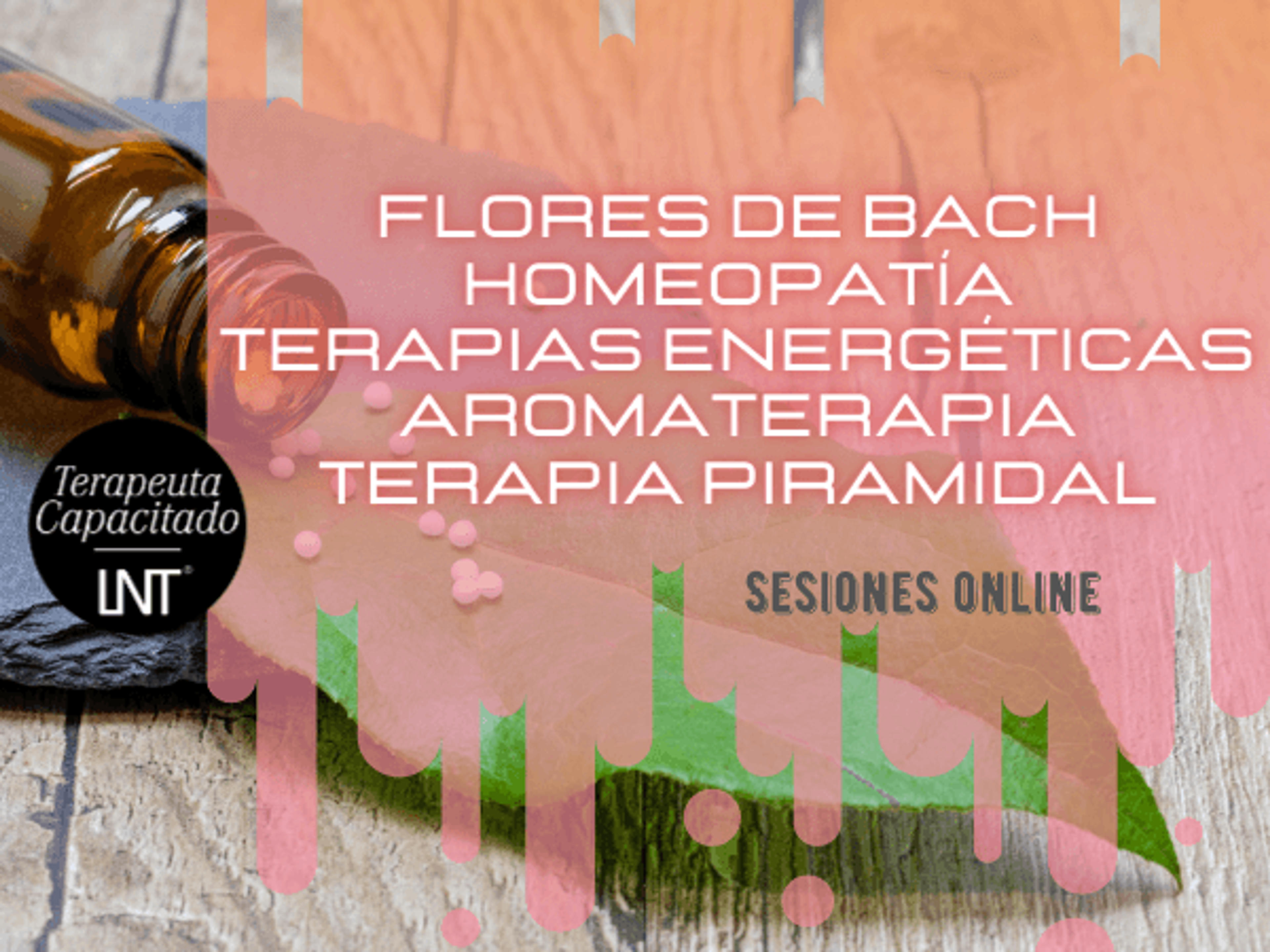ECOSINUESTRA S.L. con Saludarte