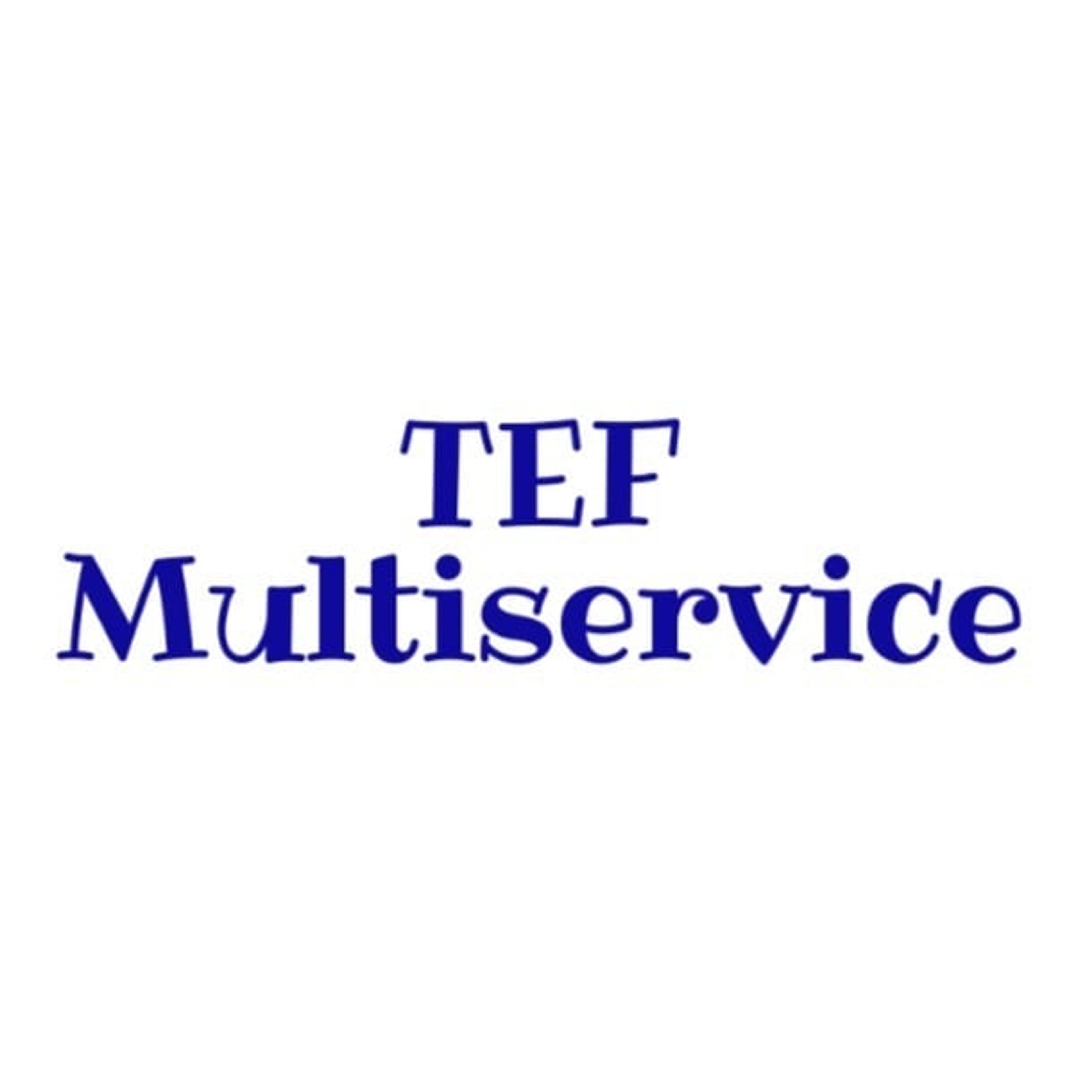 TEF MULTISERVICE SRL