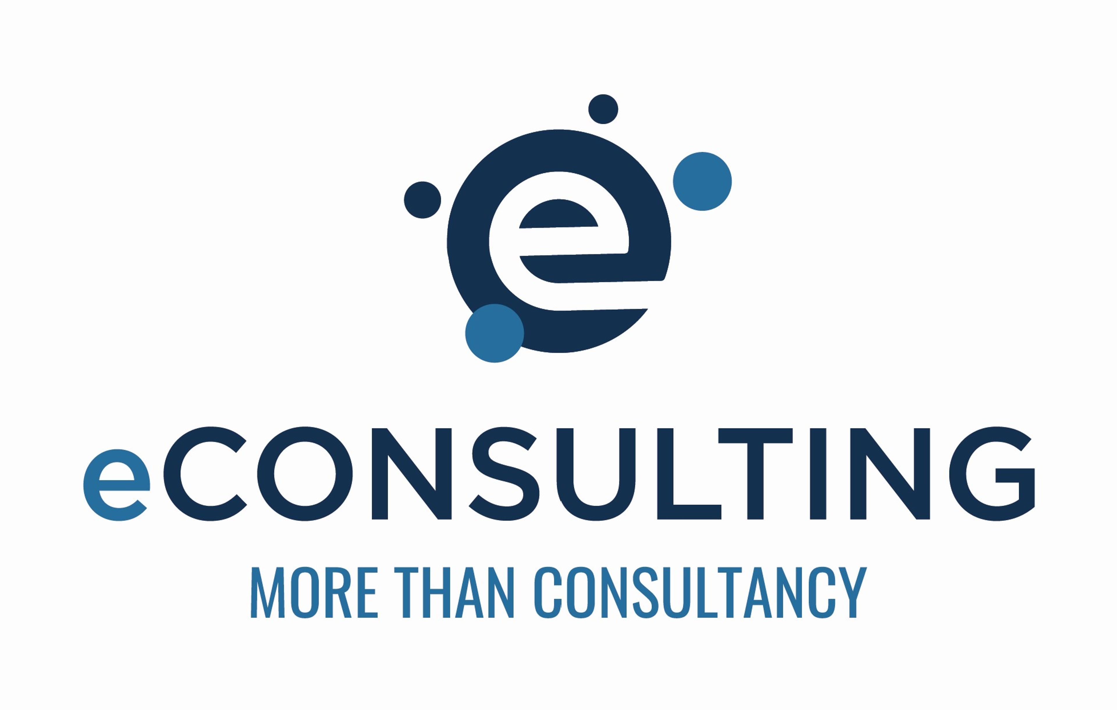 E Consulting