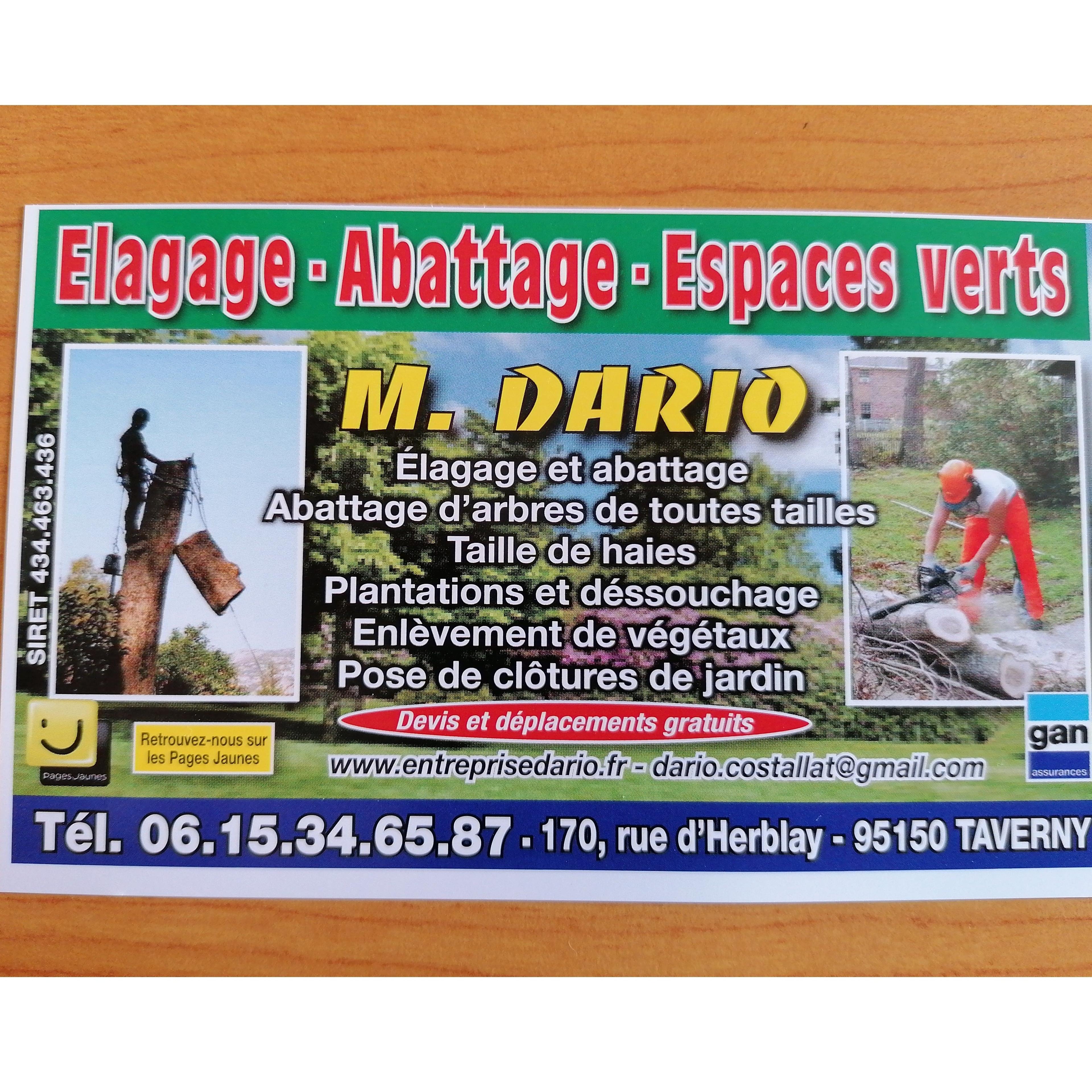Dario Costallat