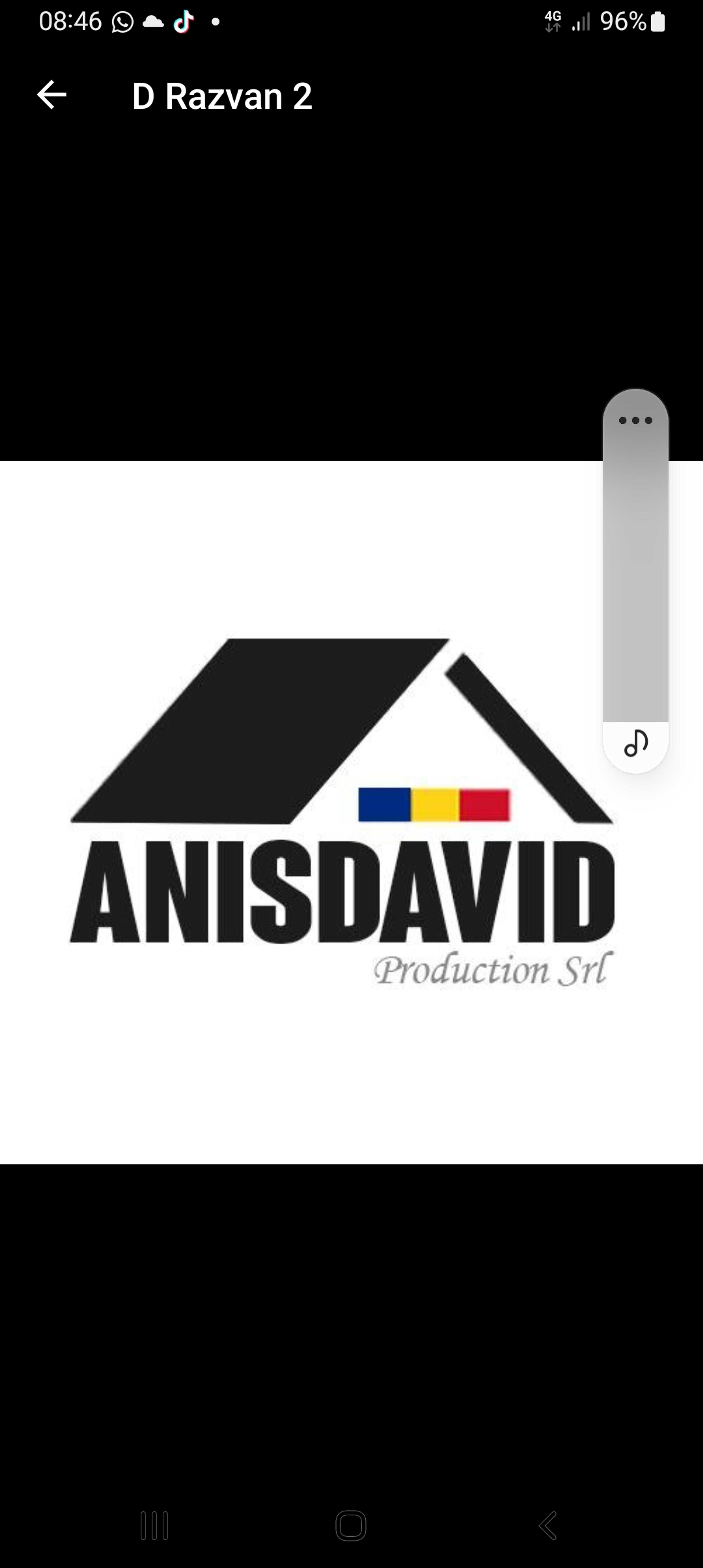 Sc anis david srl