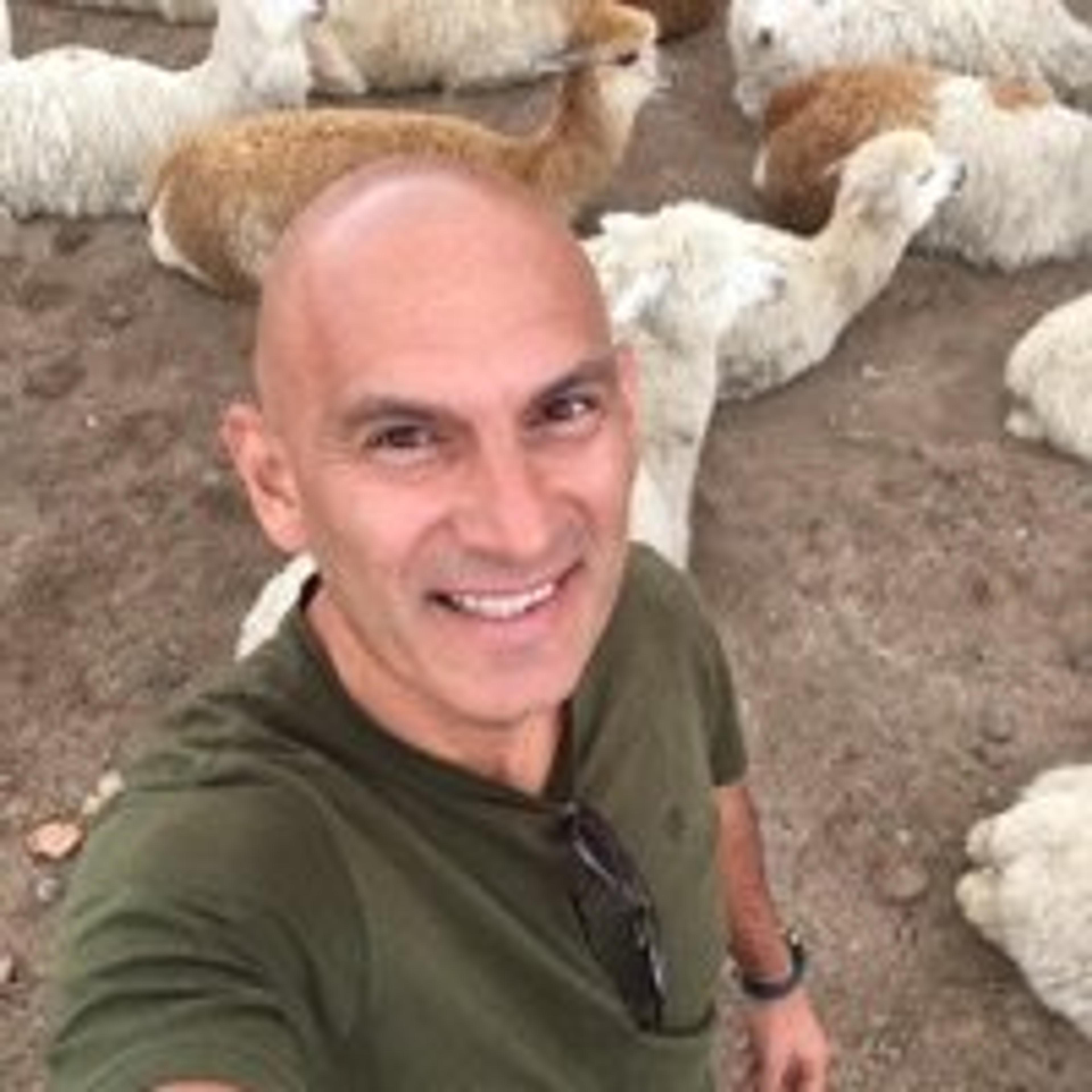 Psicólogo Coach Entrenador en Mindfulness