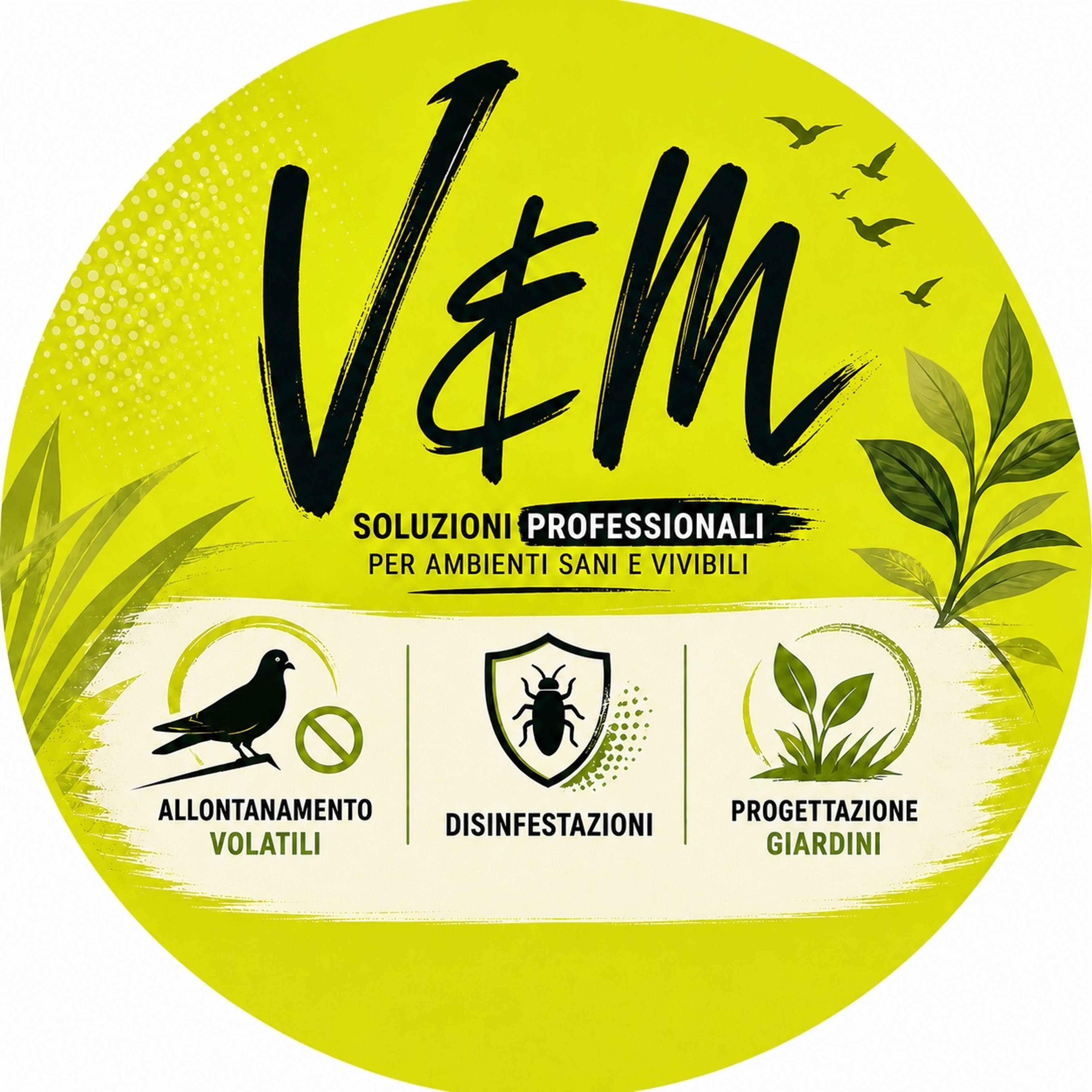 V&M Disinfestazioni