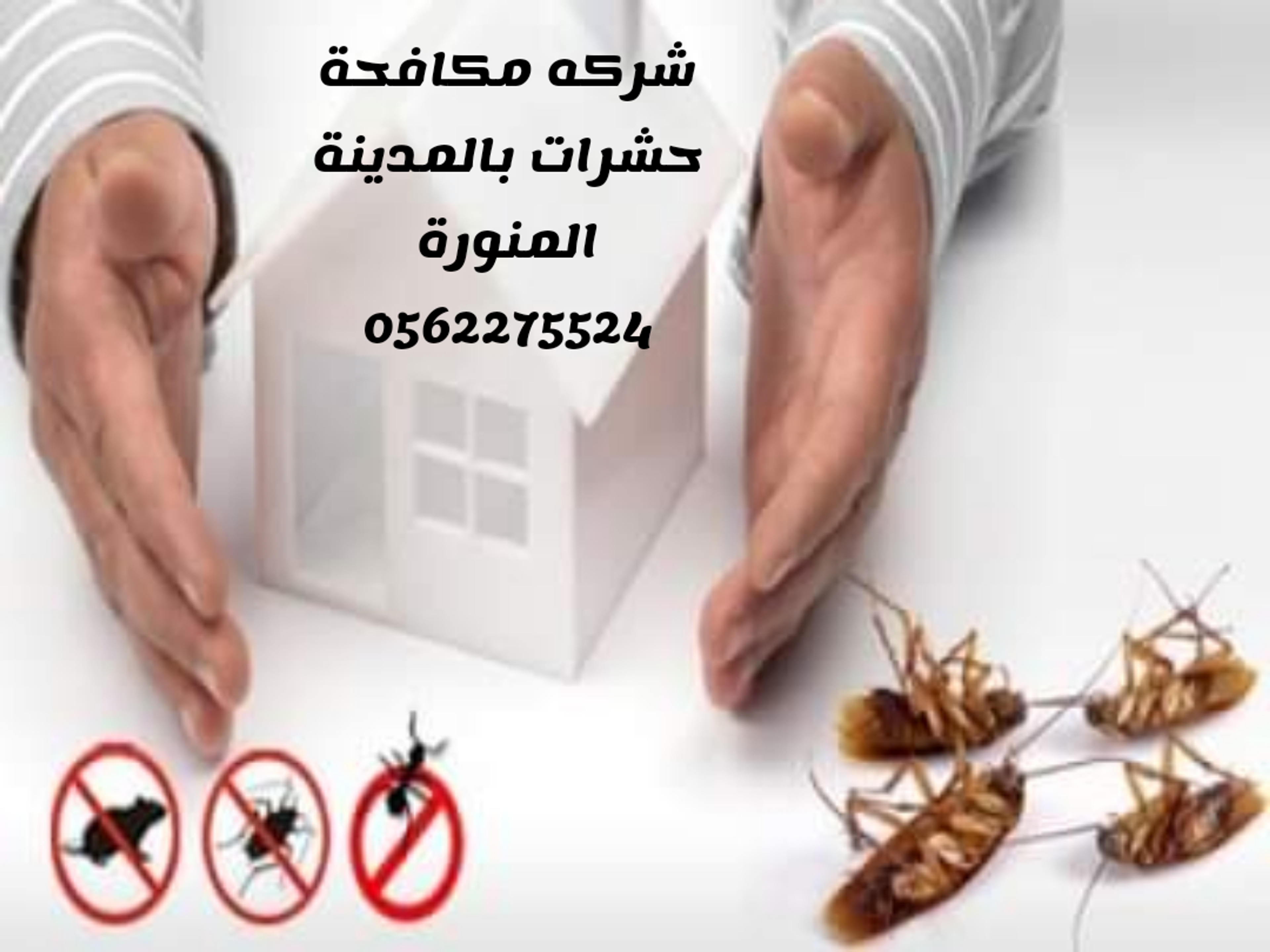 شركه تنظيف لمسات ابداع بالمدينه المنورة