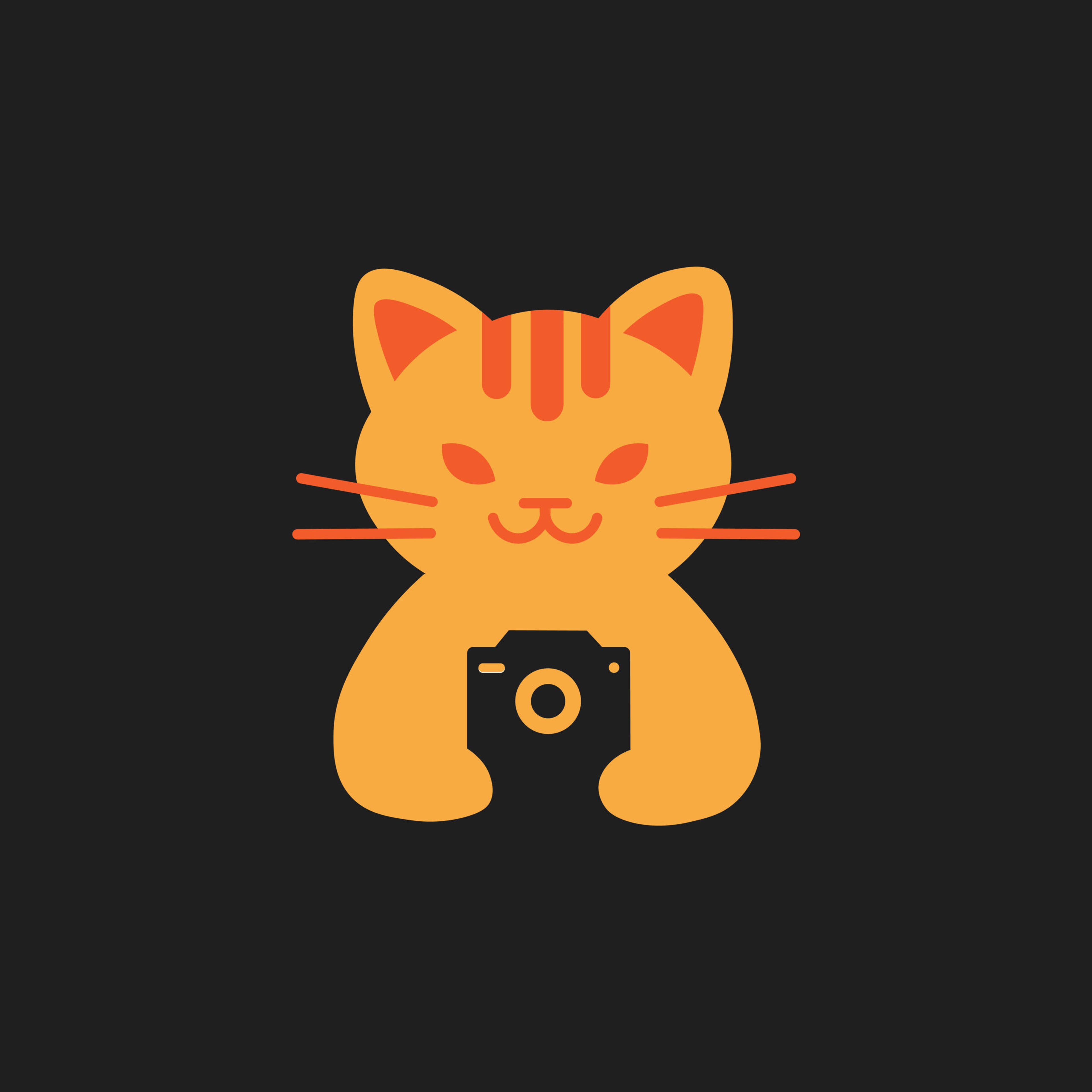 Le Chat Roux Photographie