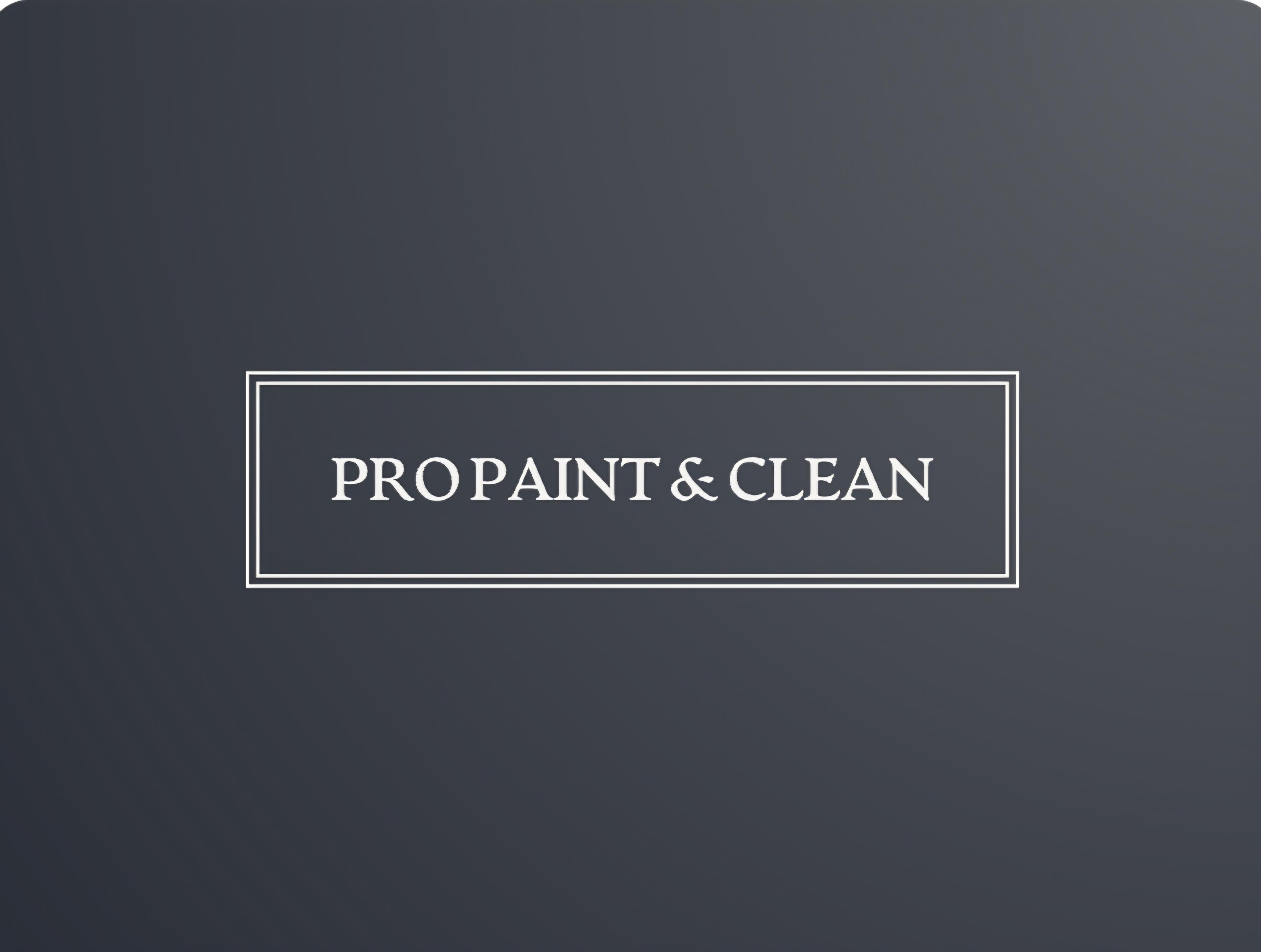 PRO PAINT AND CLEAN LTD