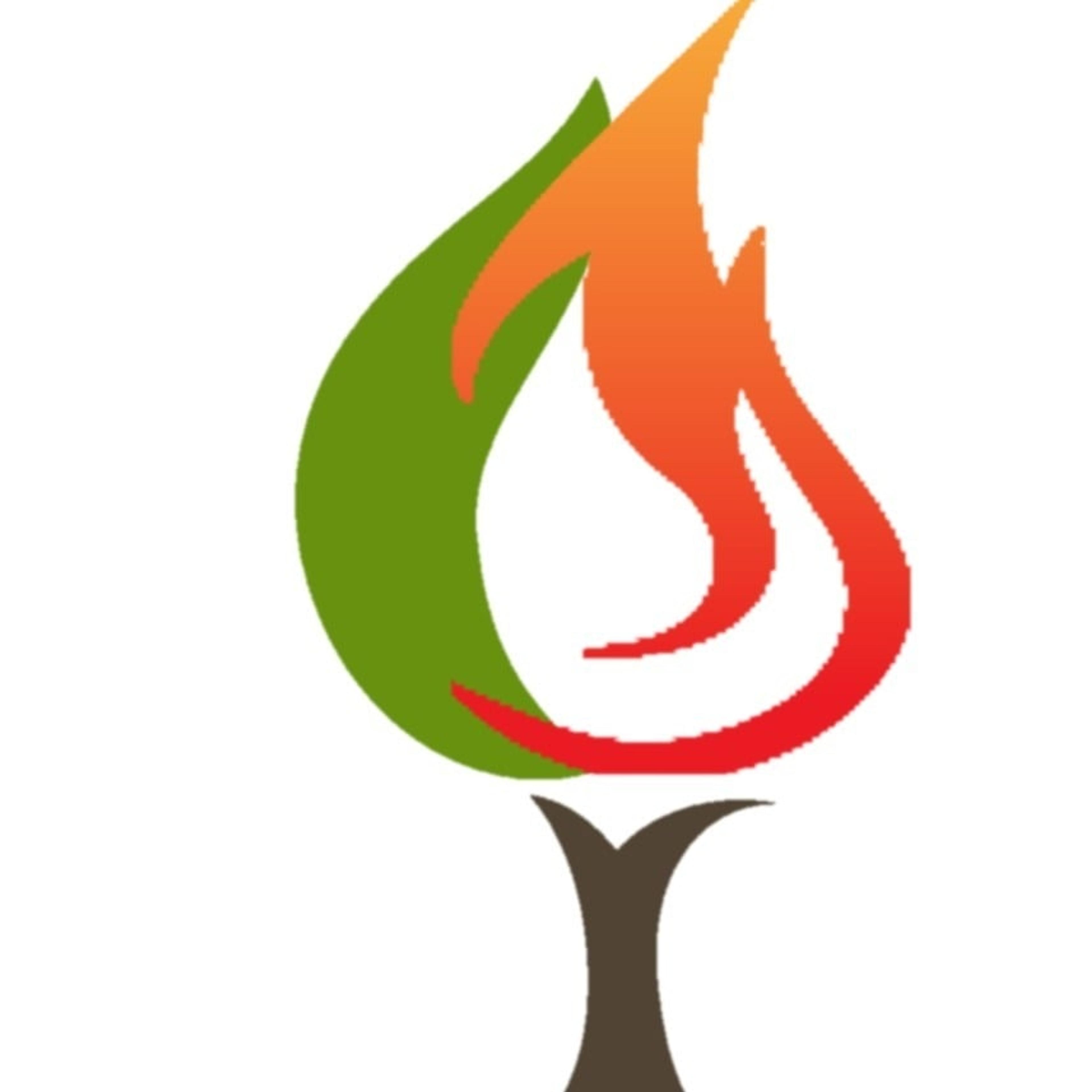 Oliboni &C. Global Service
