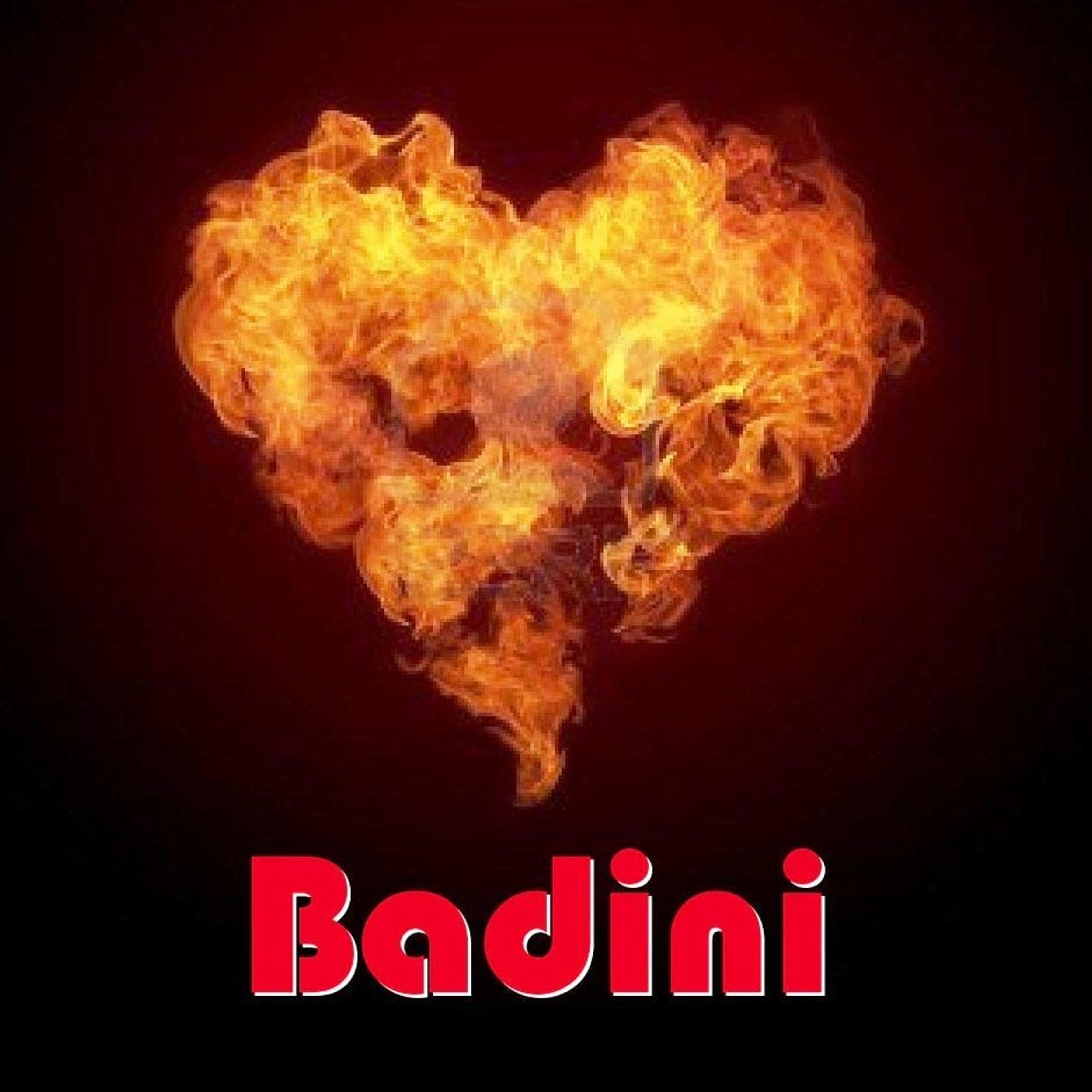 Centro Edile BADINI di Badini G. & C. snc