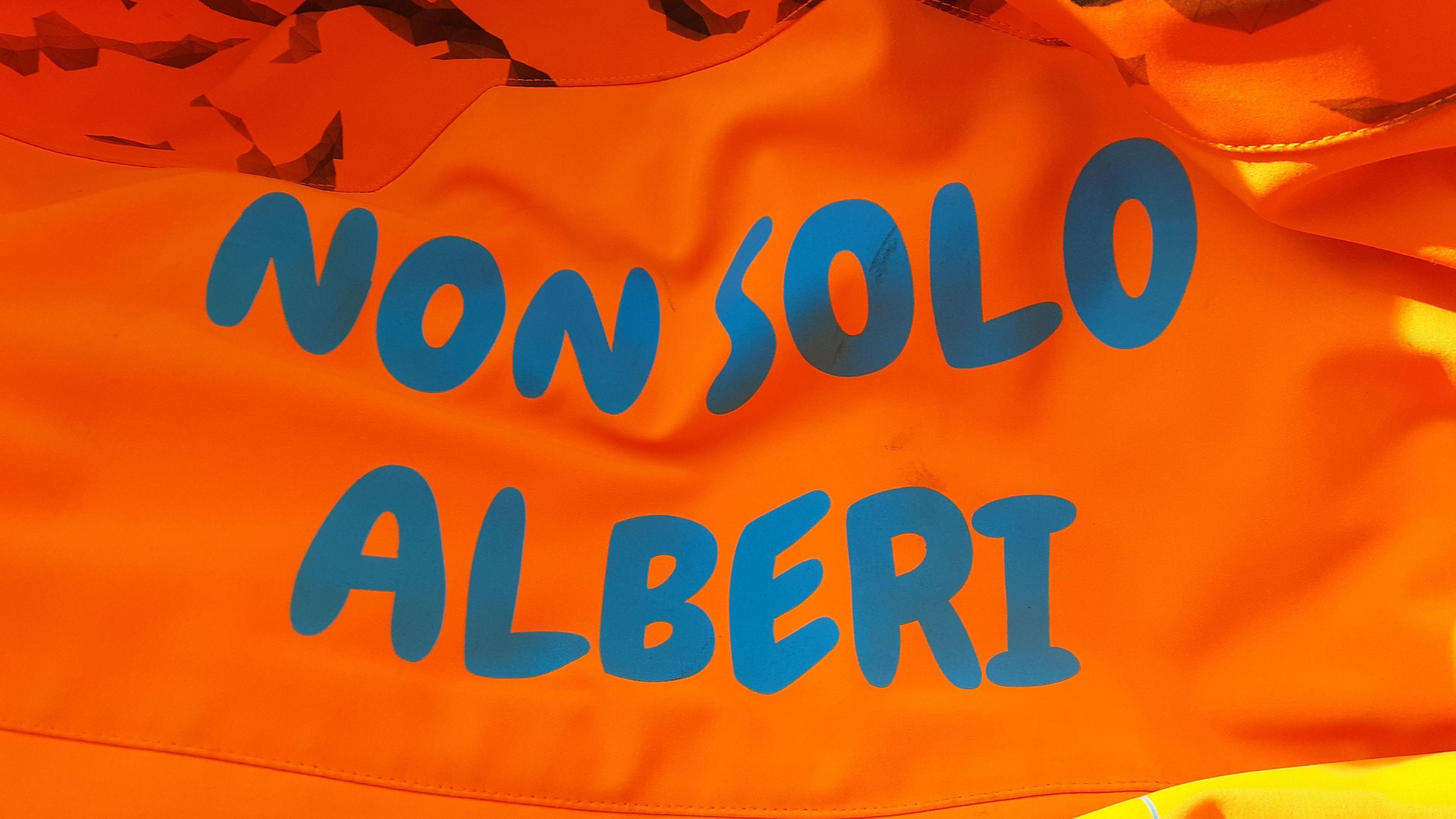 Non Solo Alberi