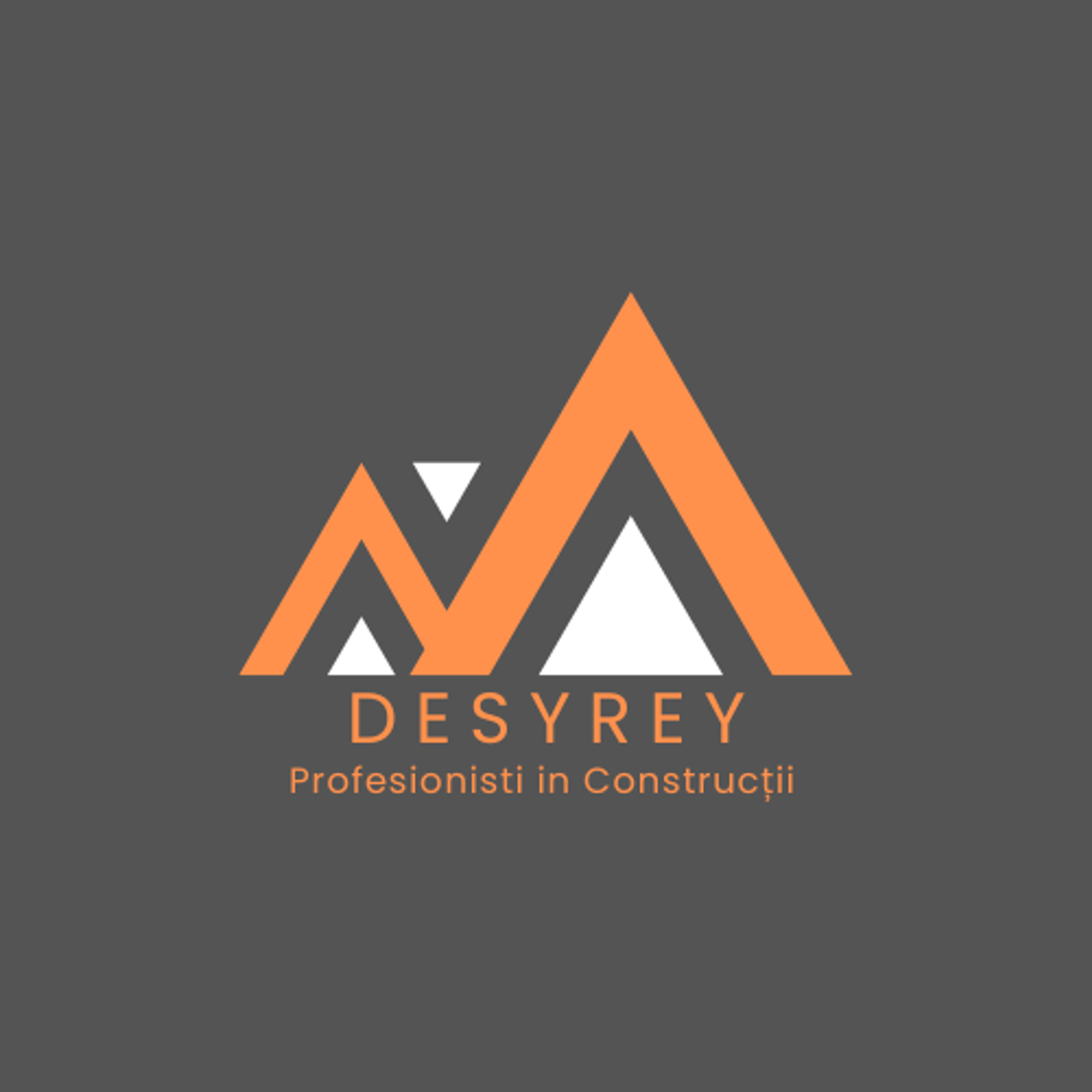 DESYREY PROCONS S.R.L.