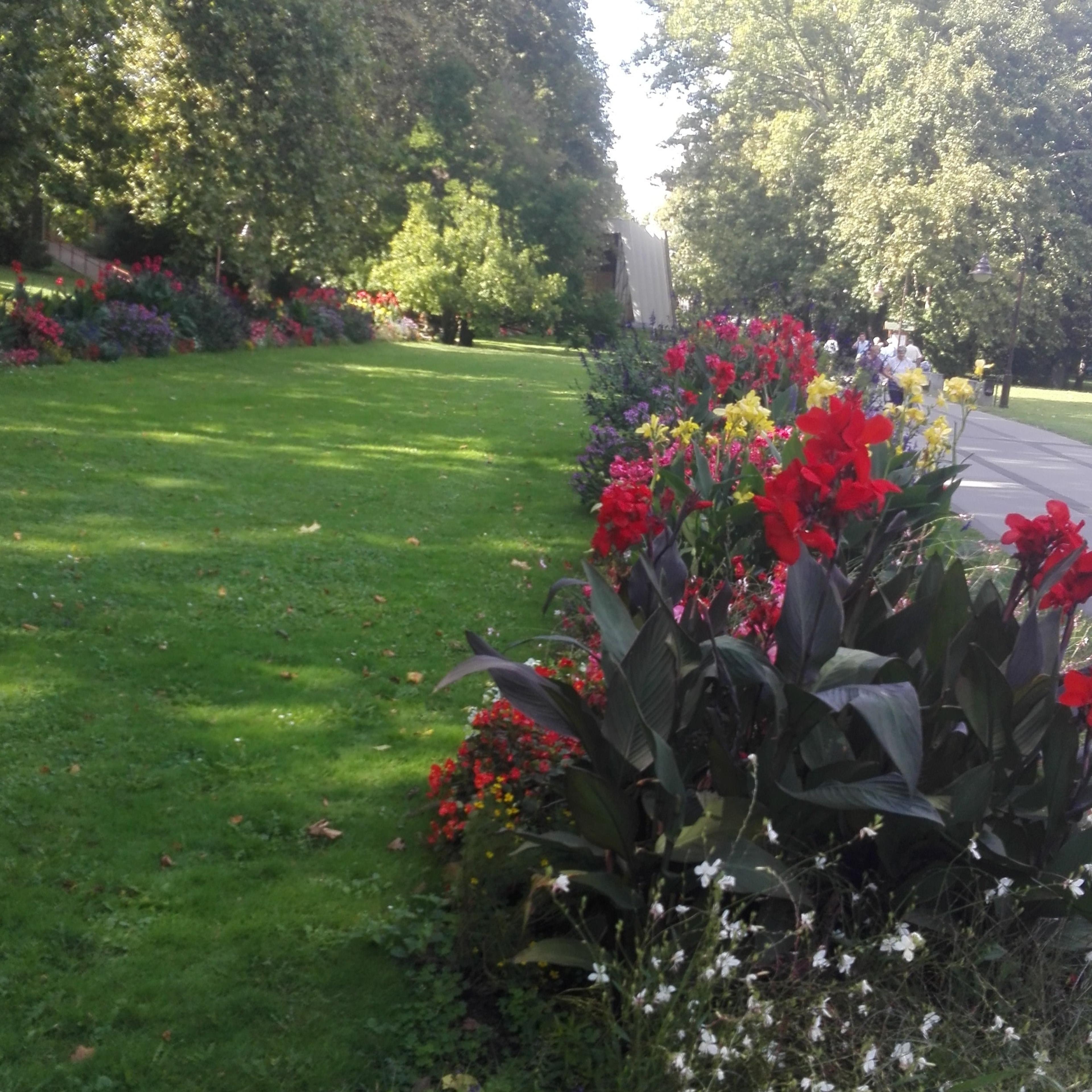 S.o.s. Tutto fare casa e giardino
