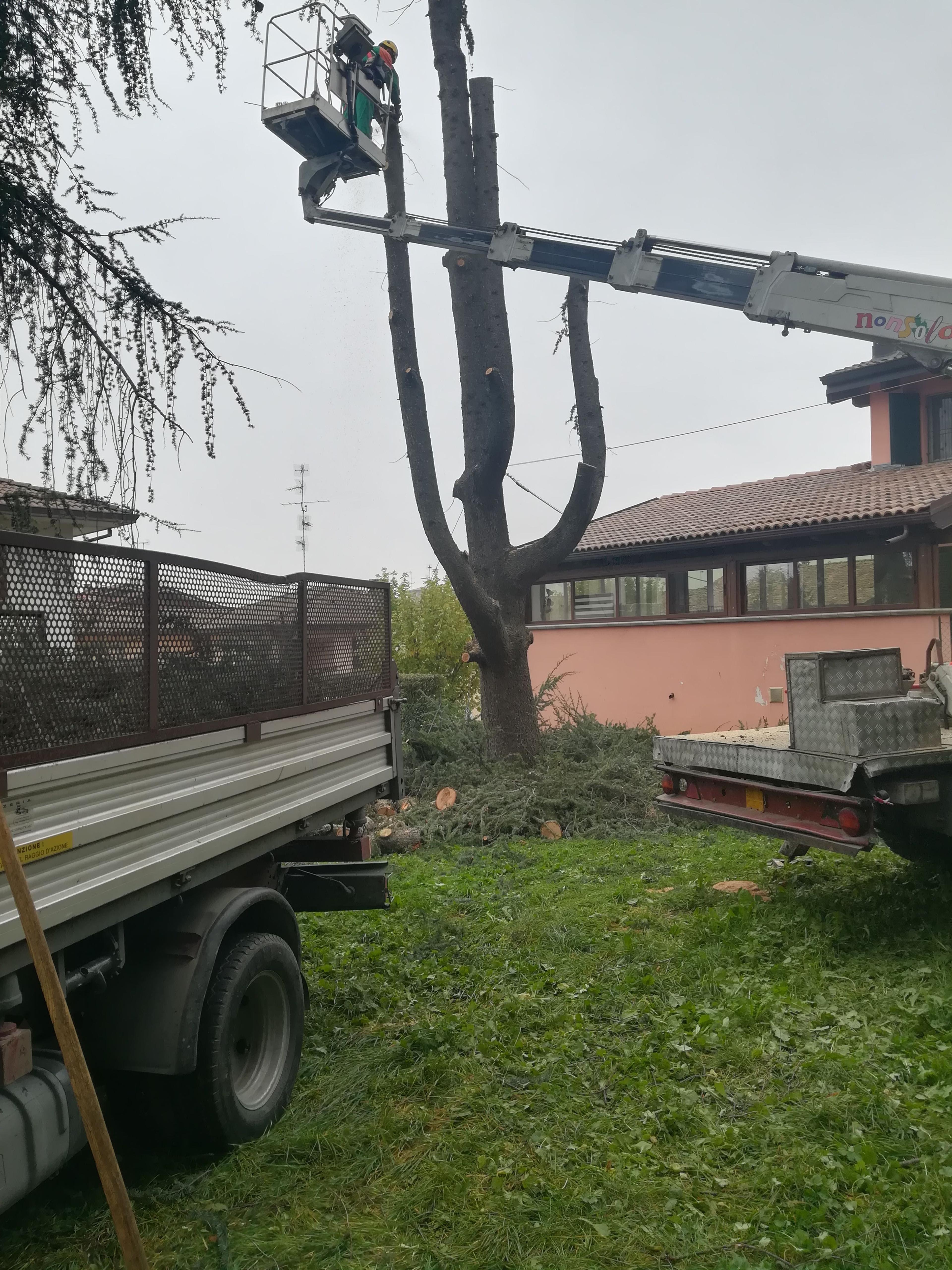 Società Agricola Burani Giuseppe e Luigi