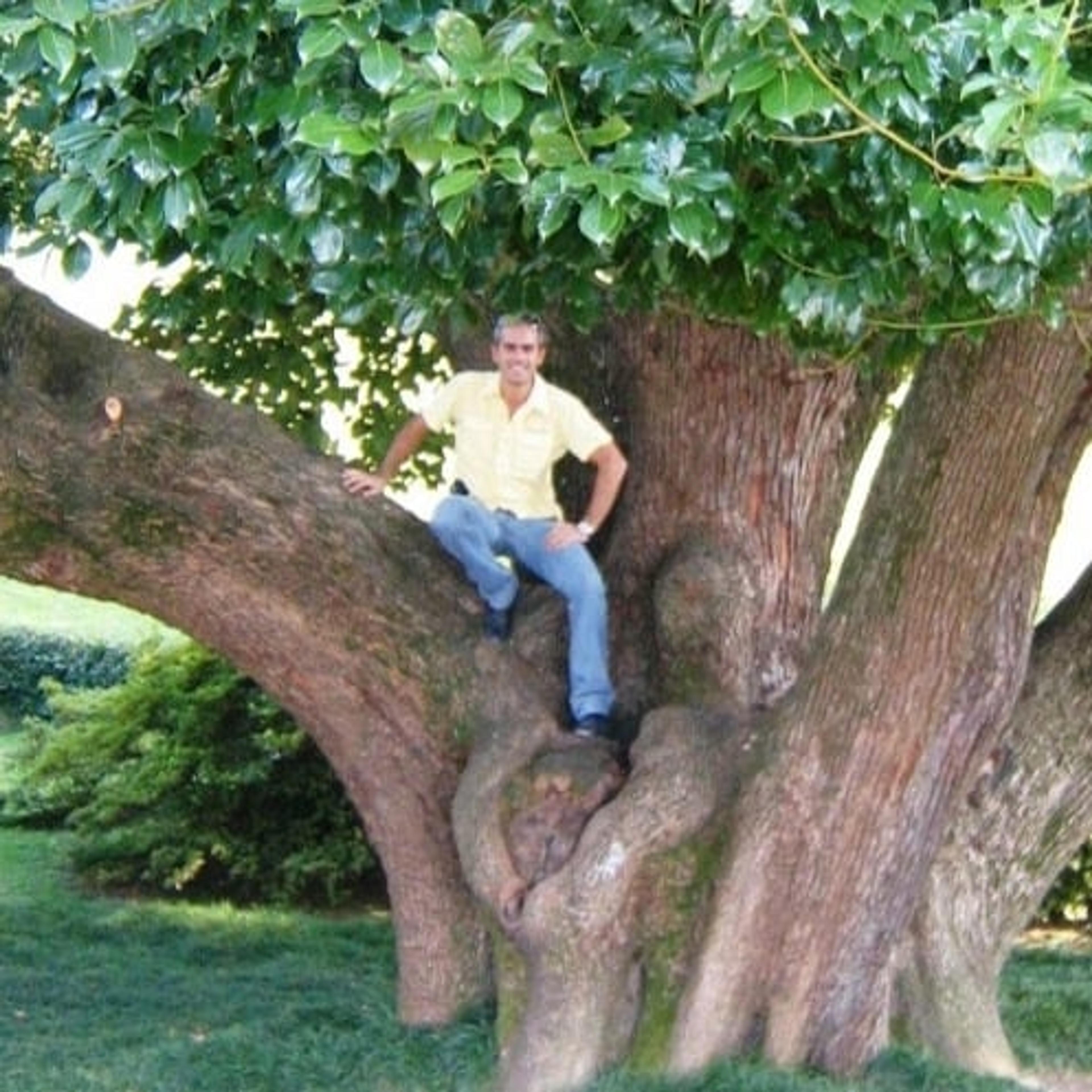 Dott.Agr. Donatelli Francesco Progettazione e cura di giardini Arboricoltura, SOSPalme, Treeclim