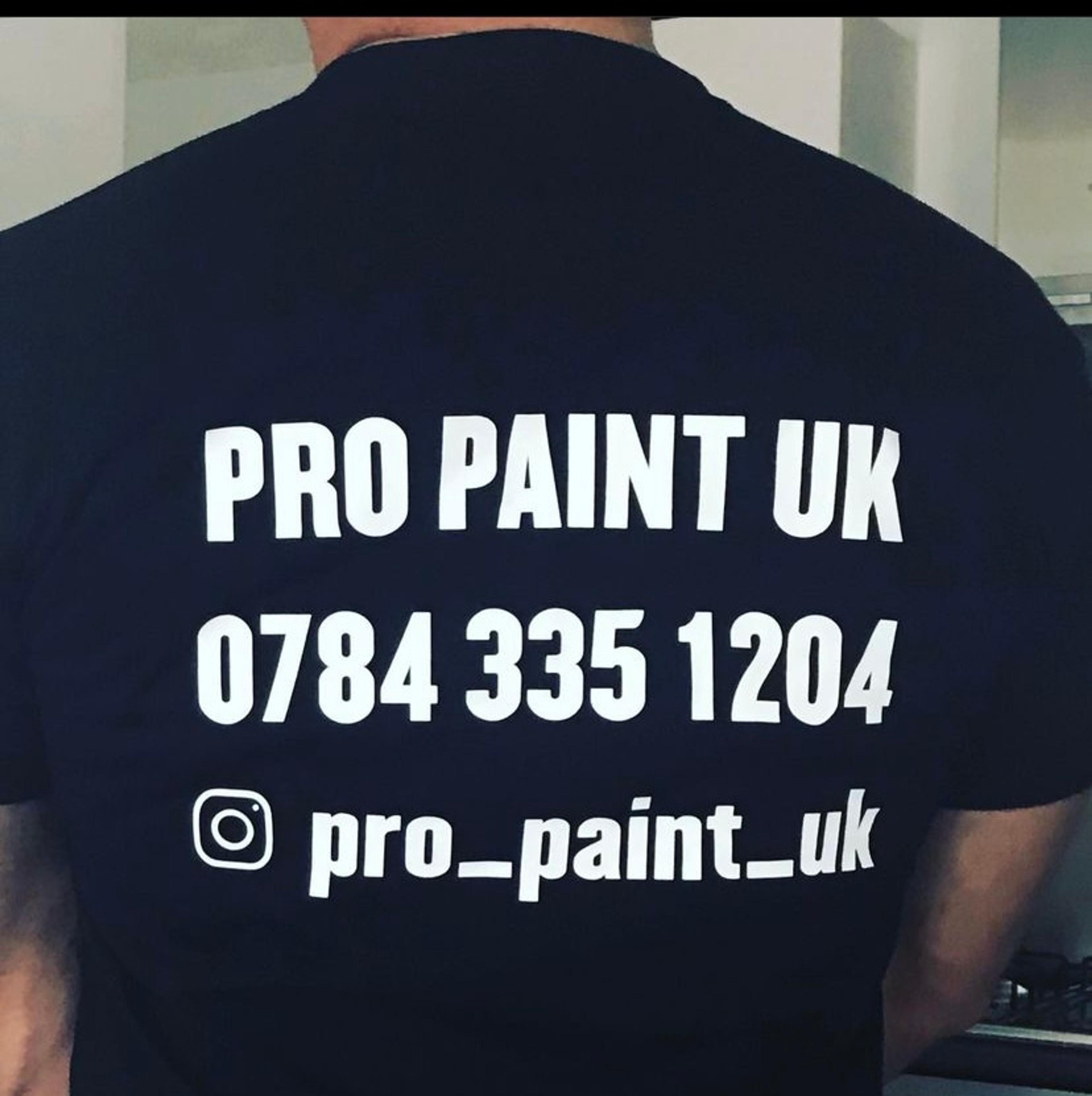 Pro paint UK ltd