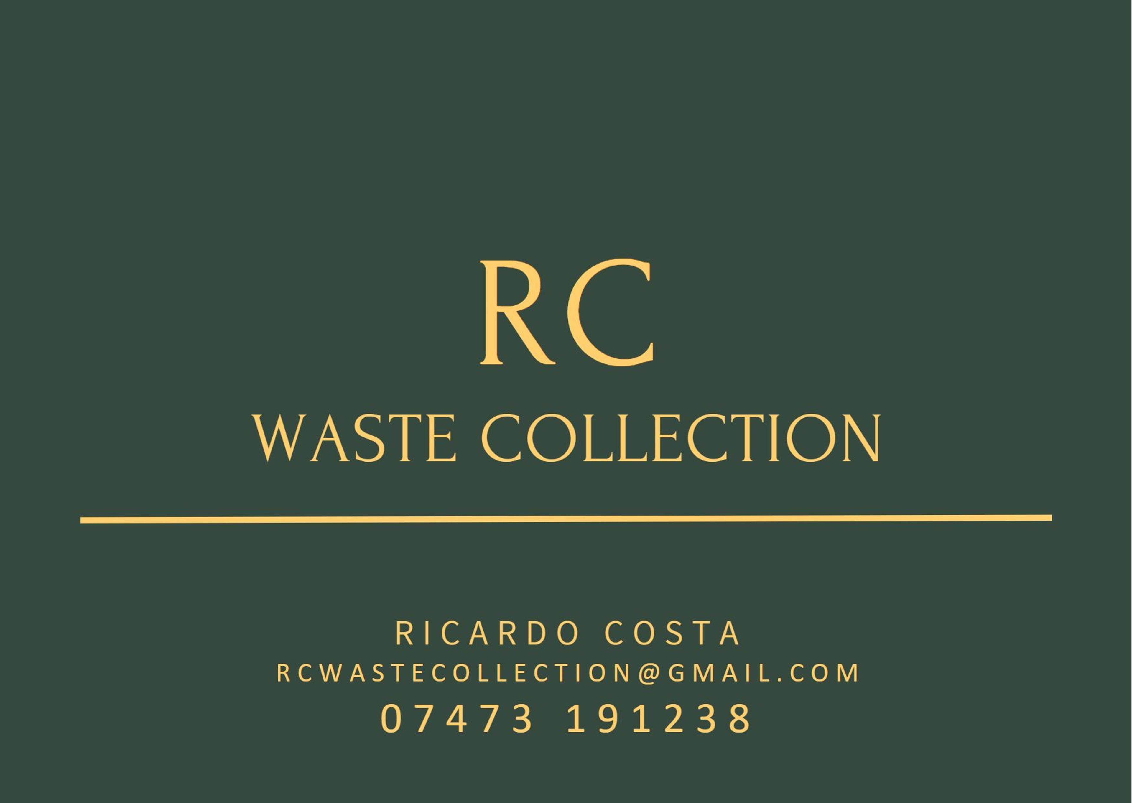 Ricardo Costa