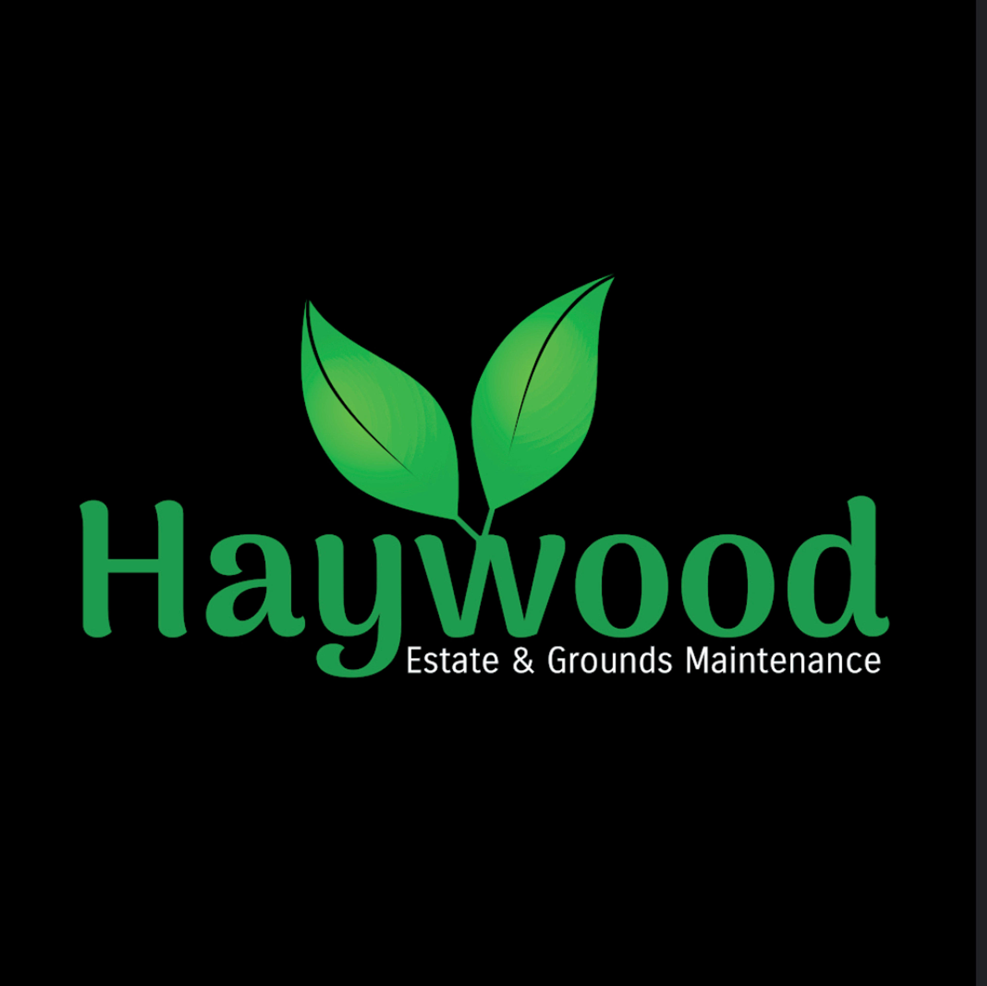 Jordan Haywood