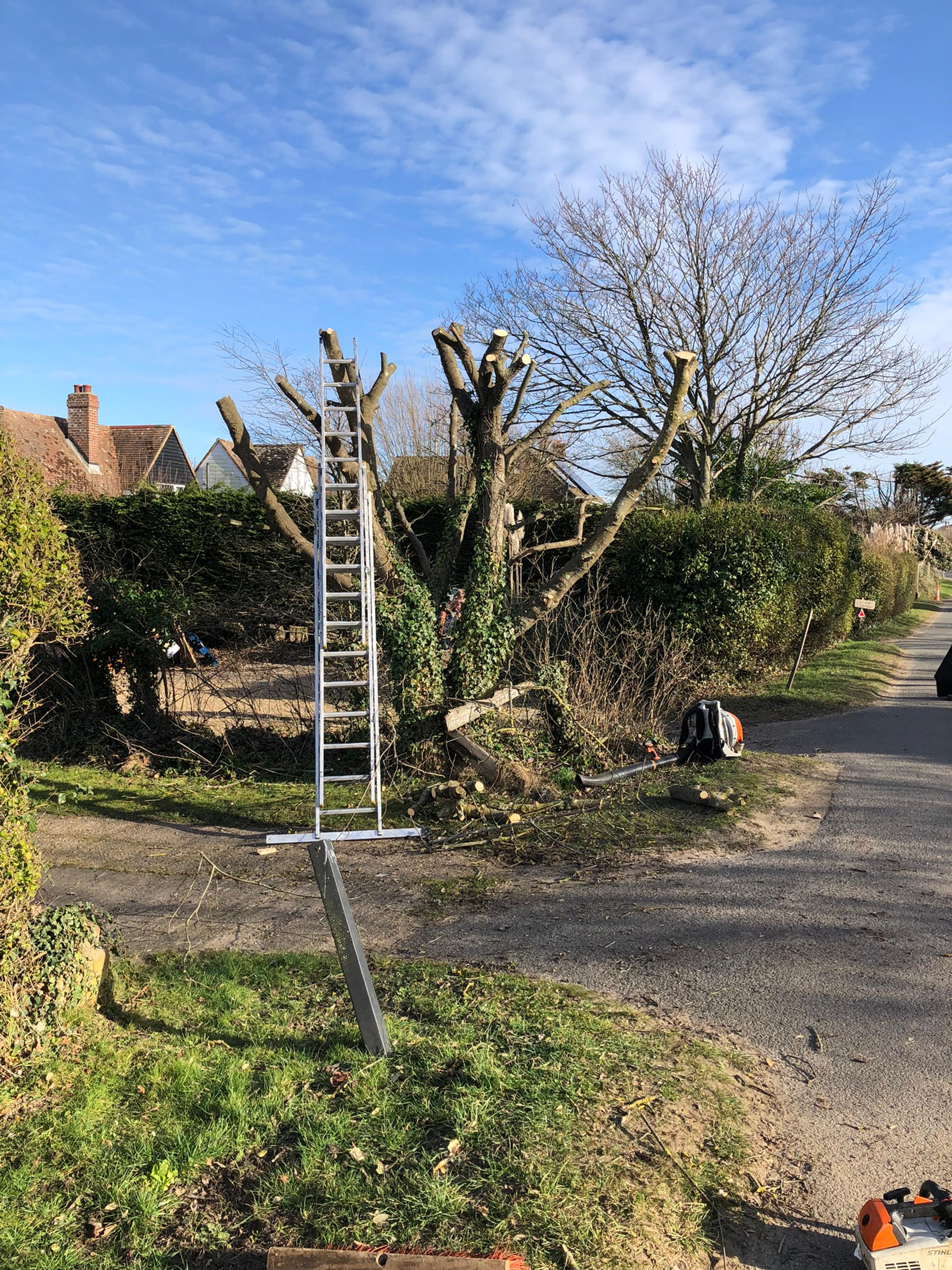 Branch Specialist Ltd