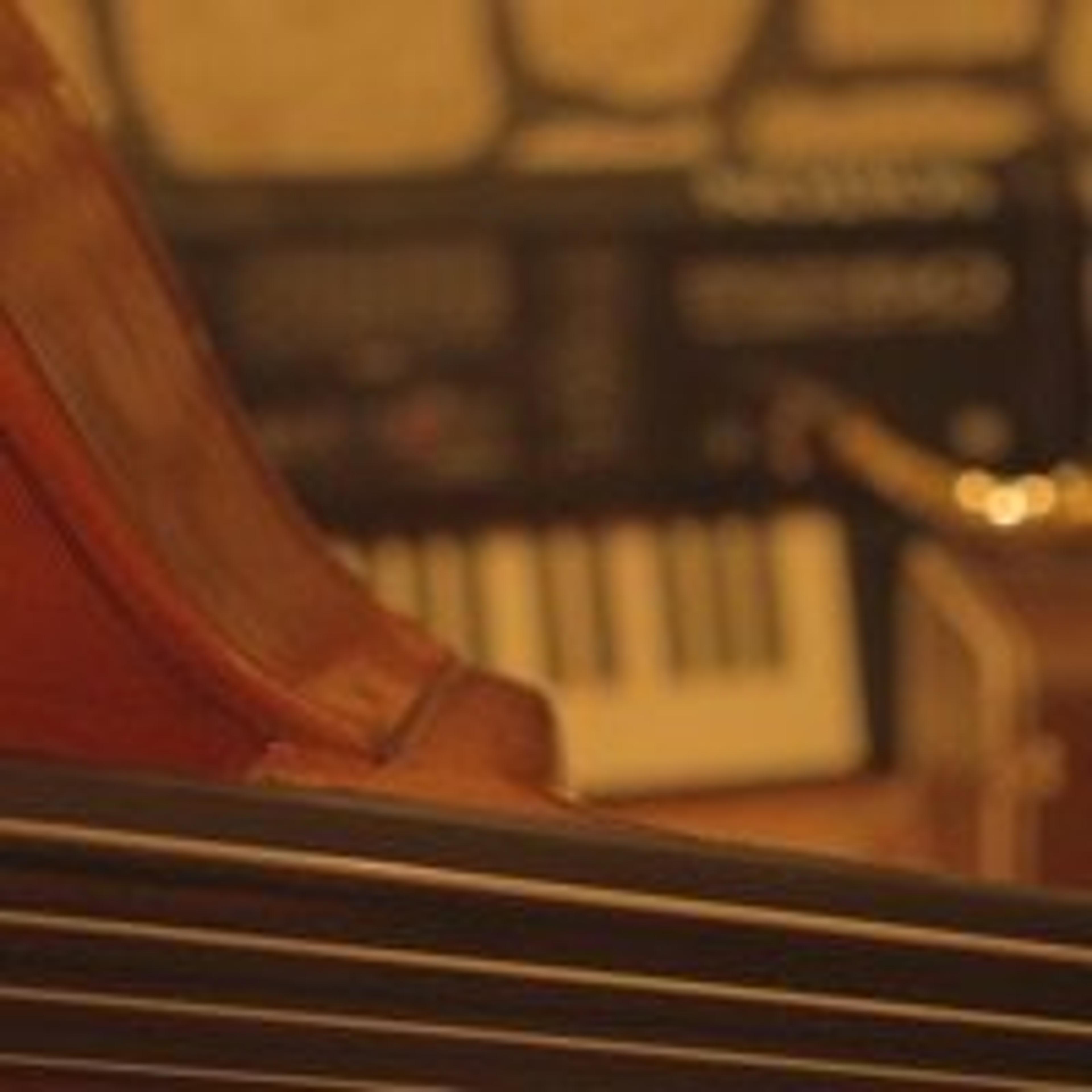 Musicleo