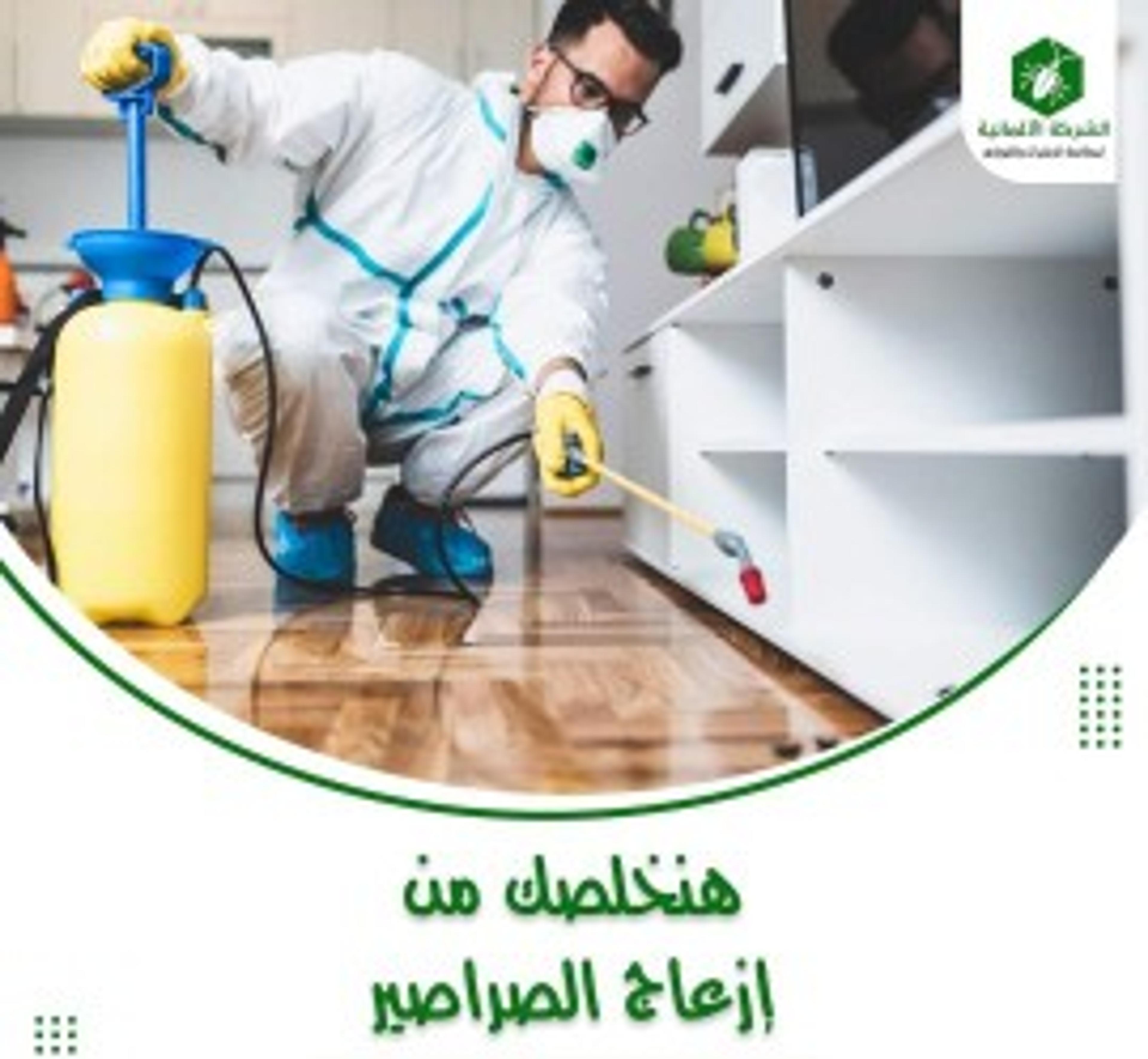 شركة رش حشرات بج