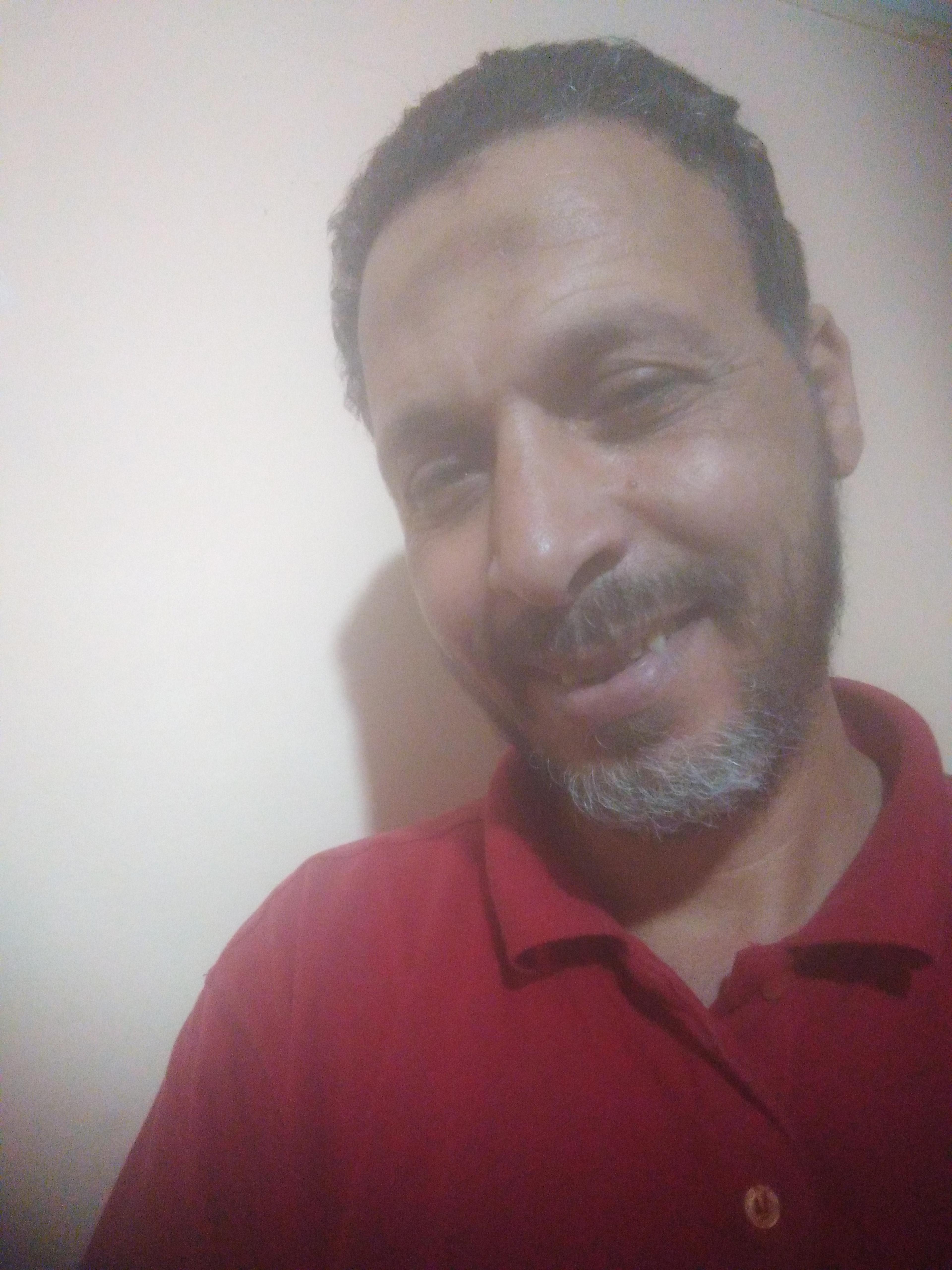 محمود حامد