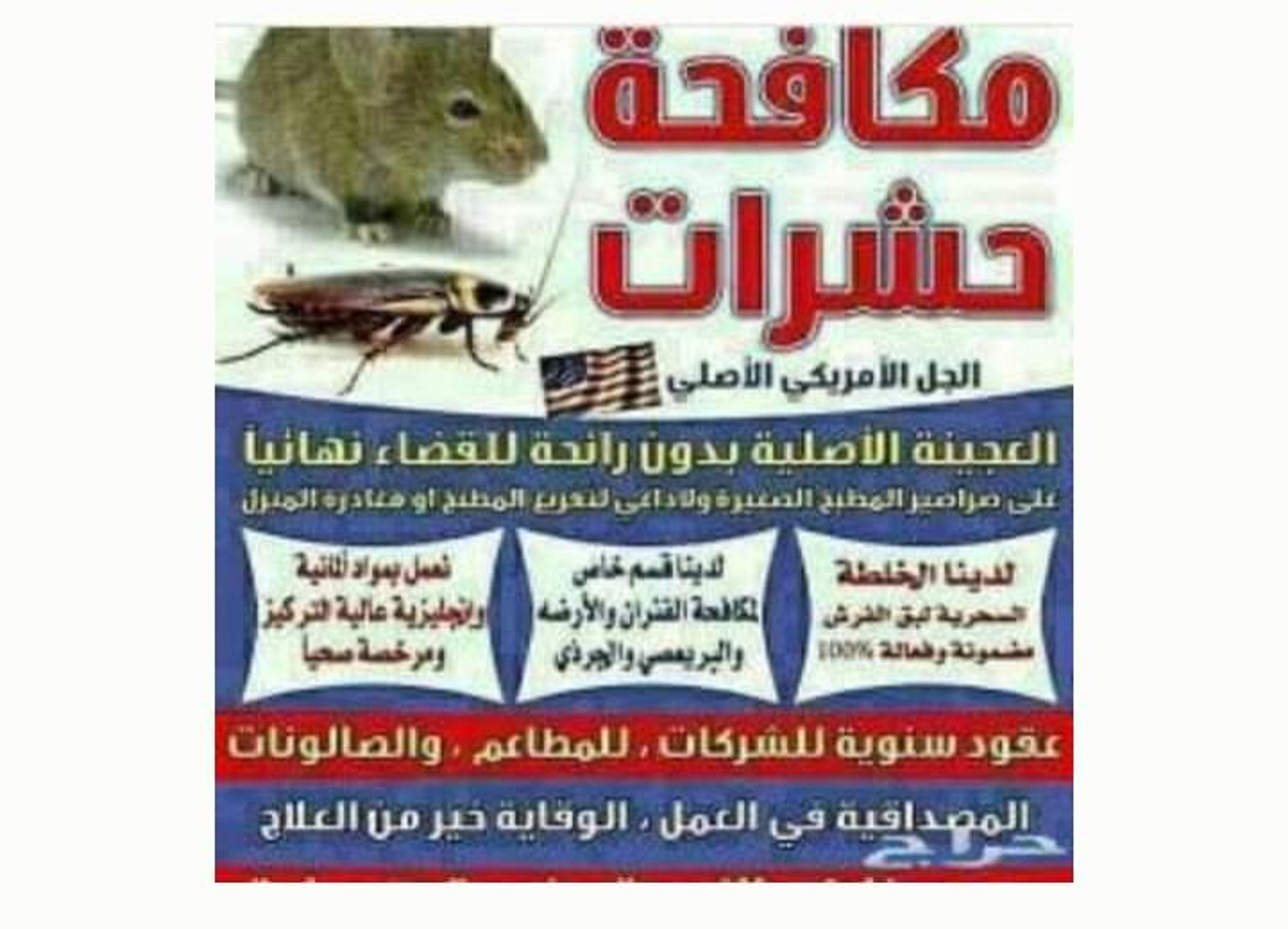 الحسن كلين