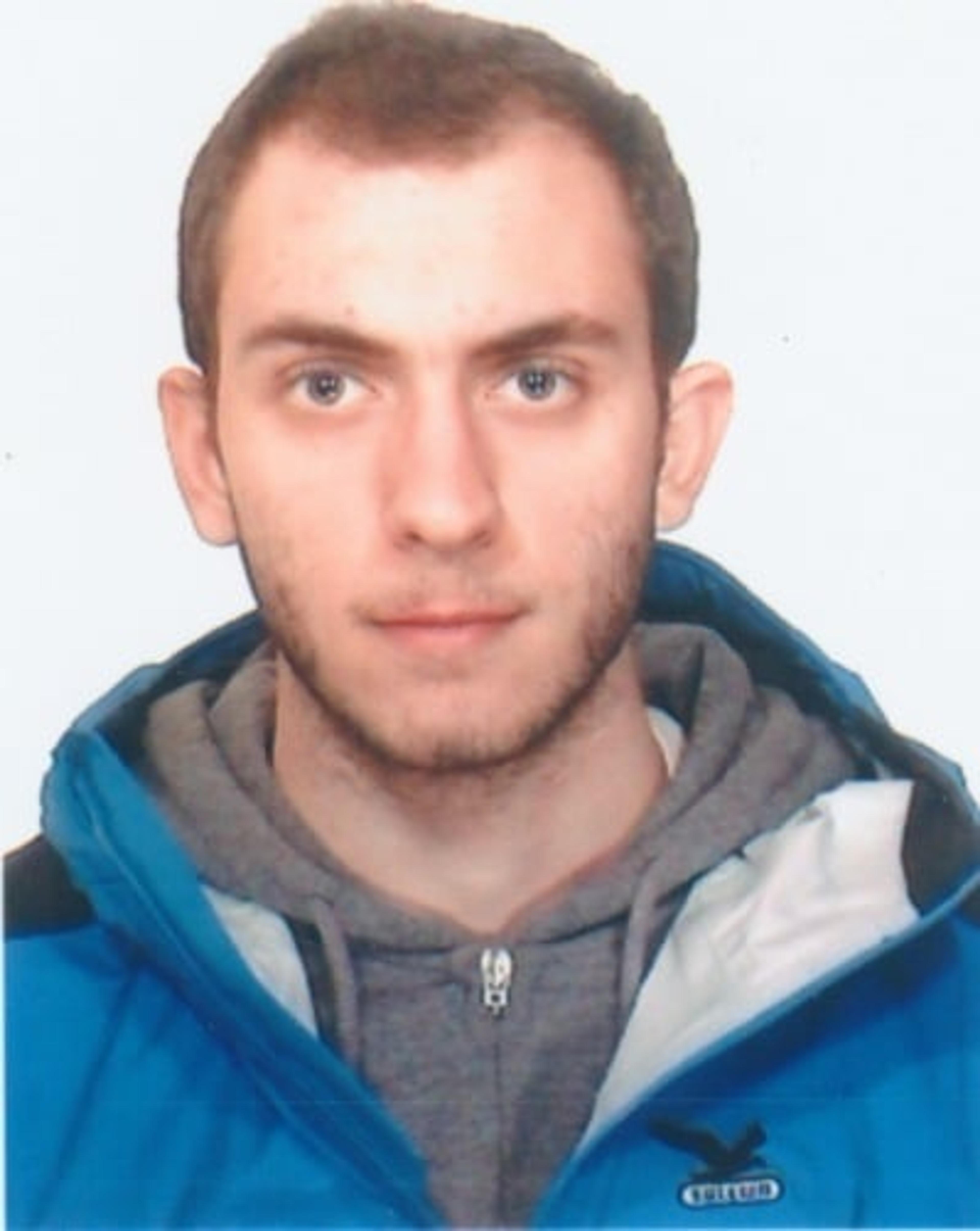 Wordpress Developer