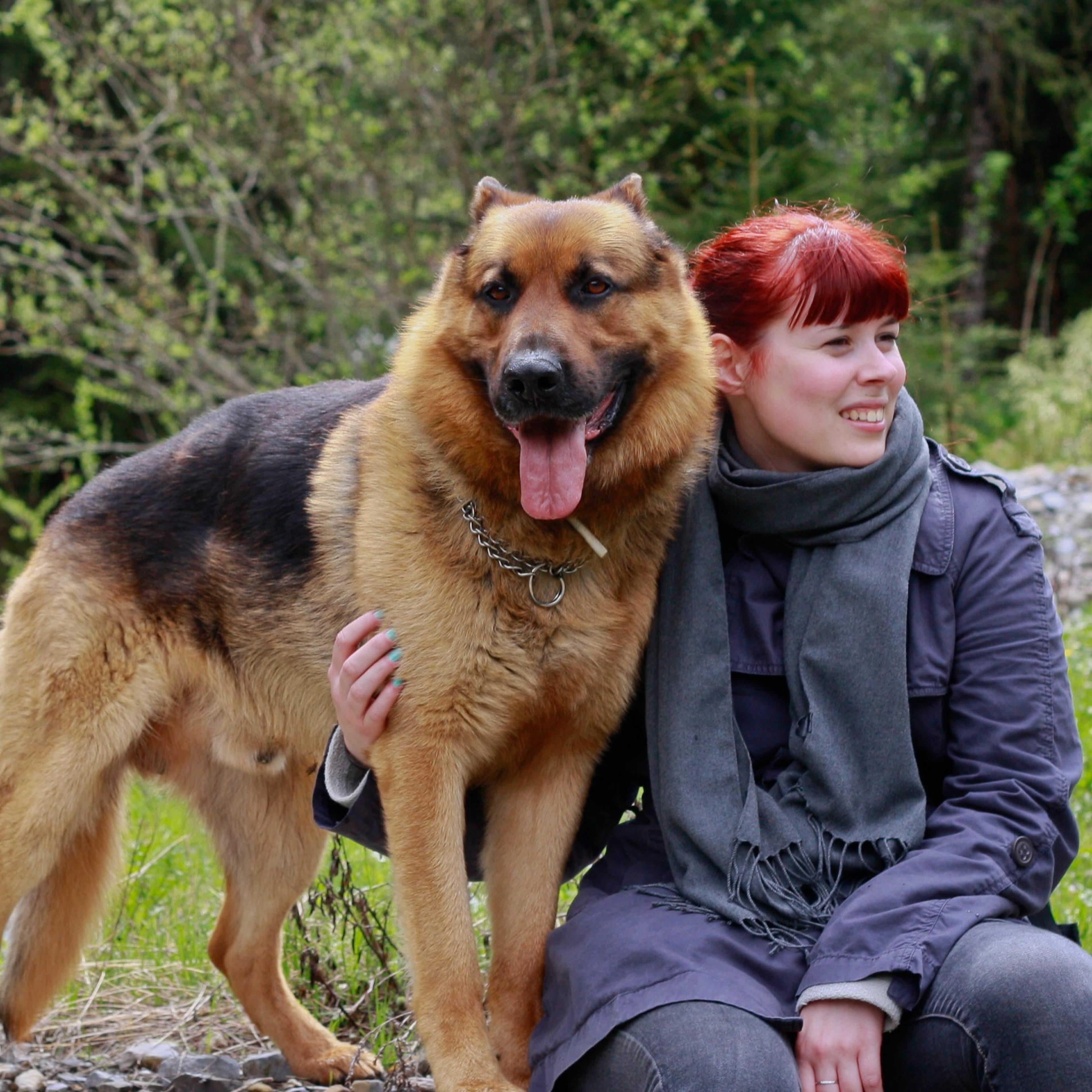 Di Ponte Basso pensione per cani
