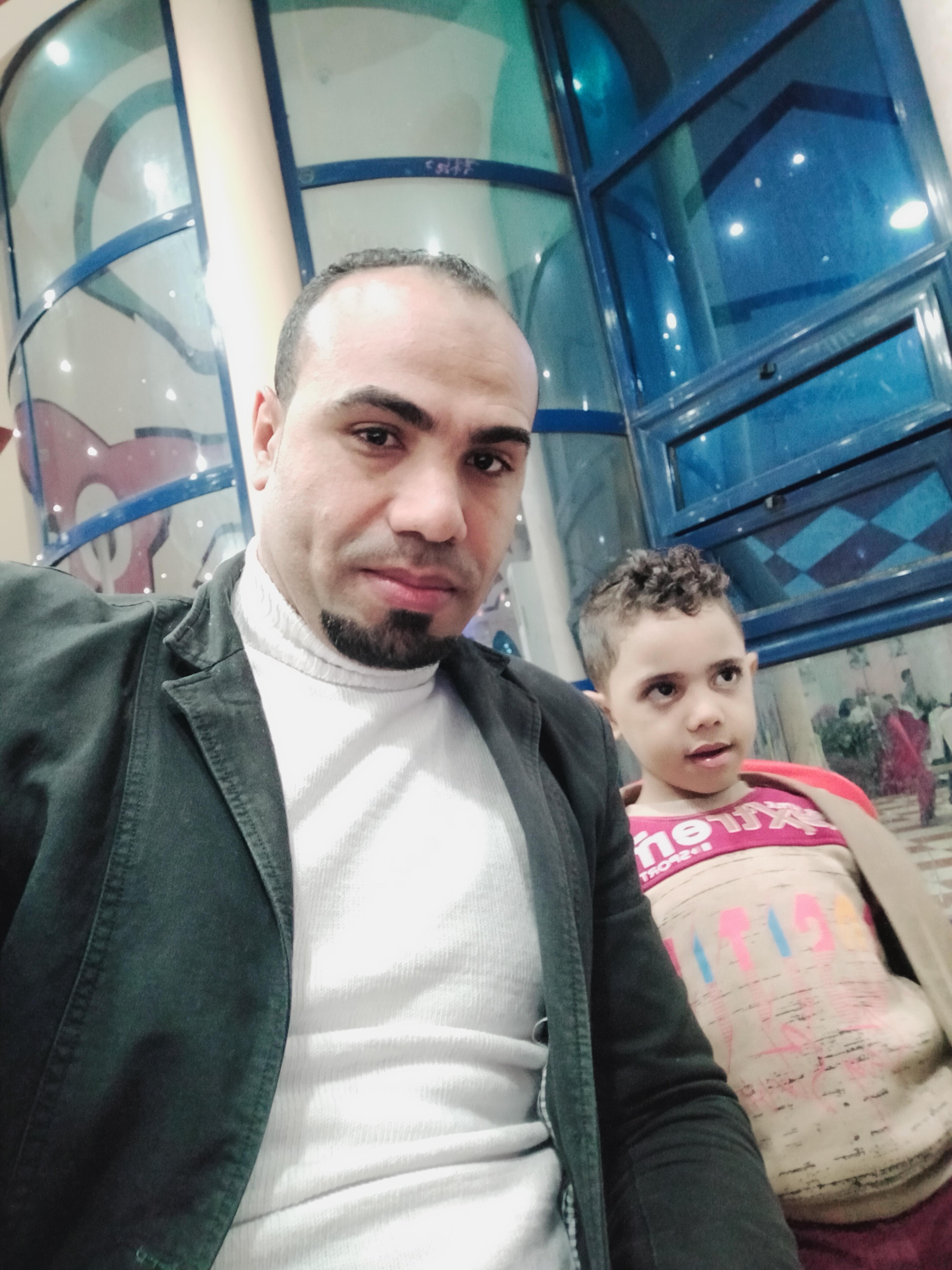 الديب للنقليات