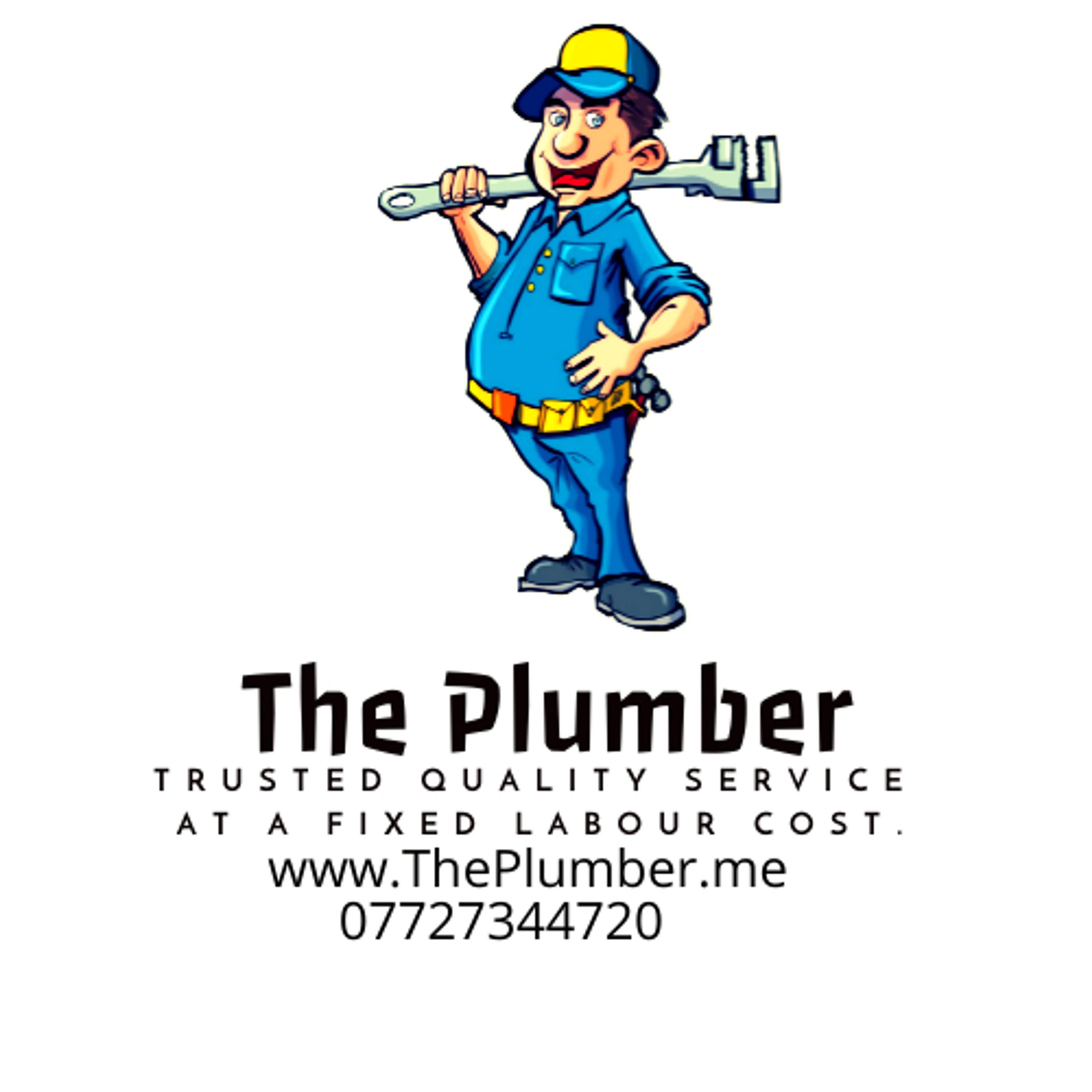 The Plumber