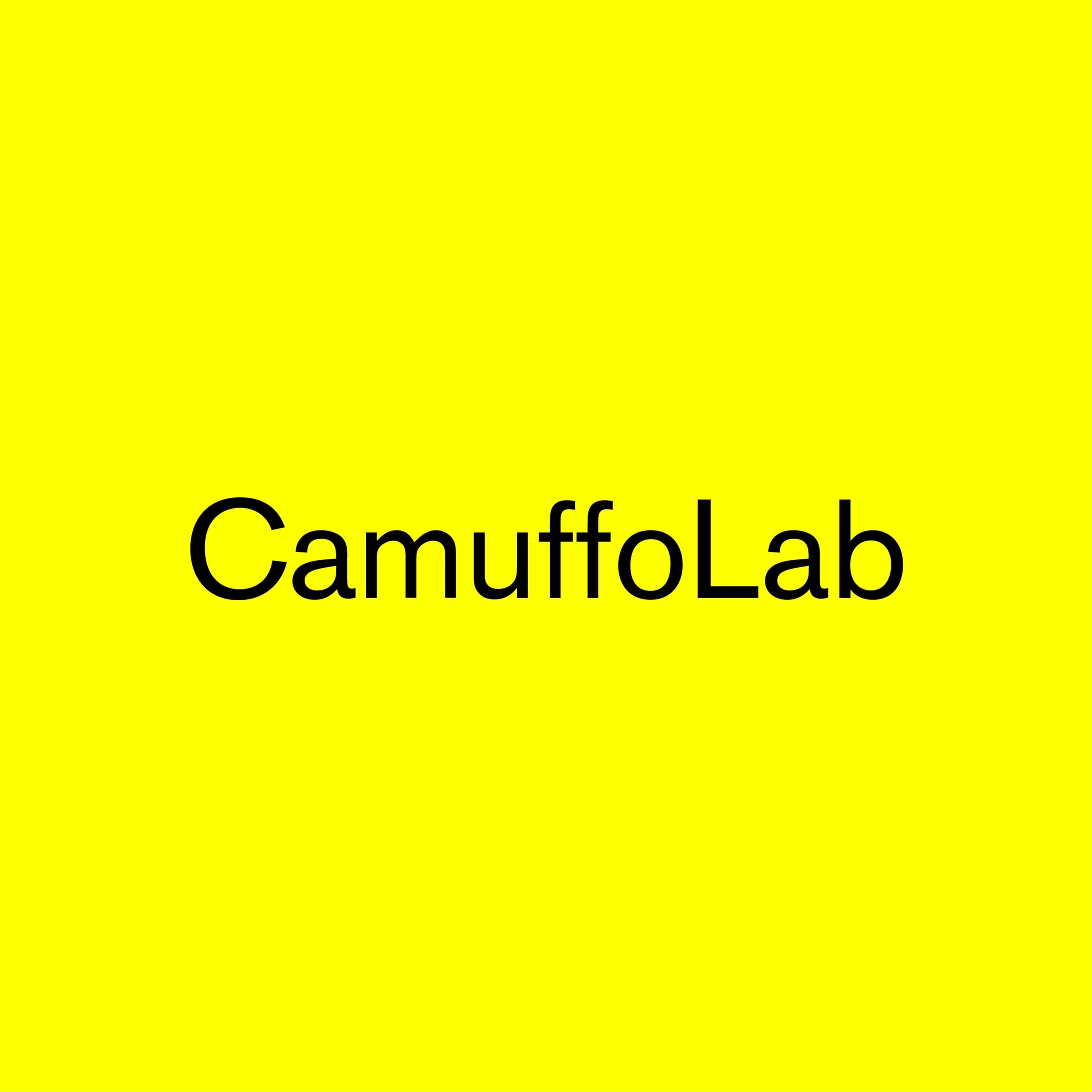 Marco Camuffo