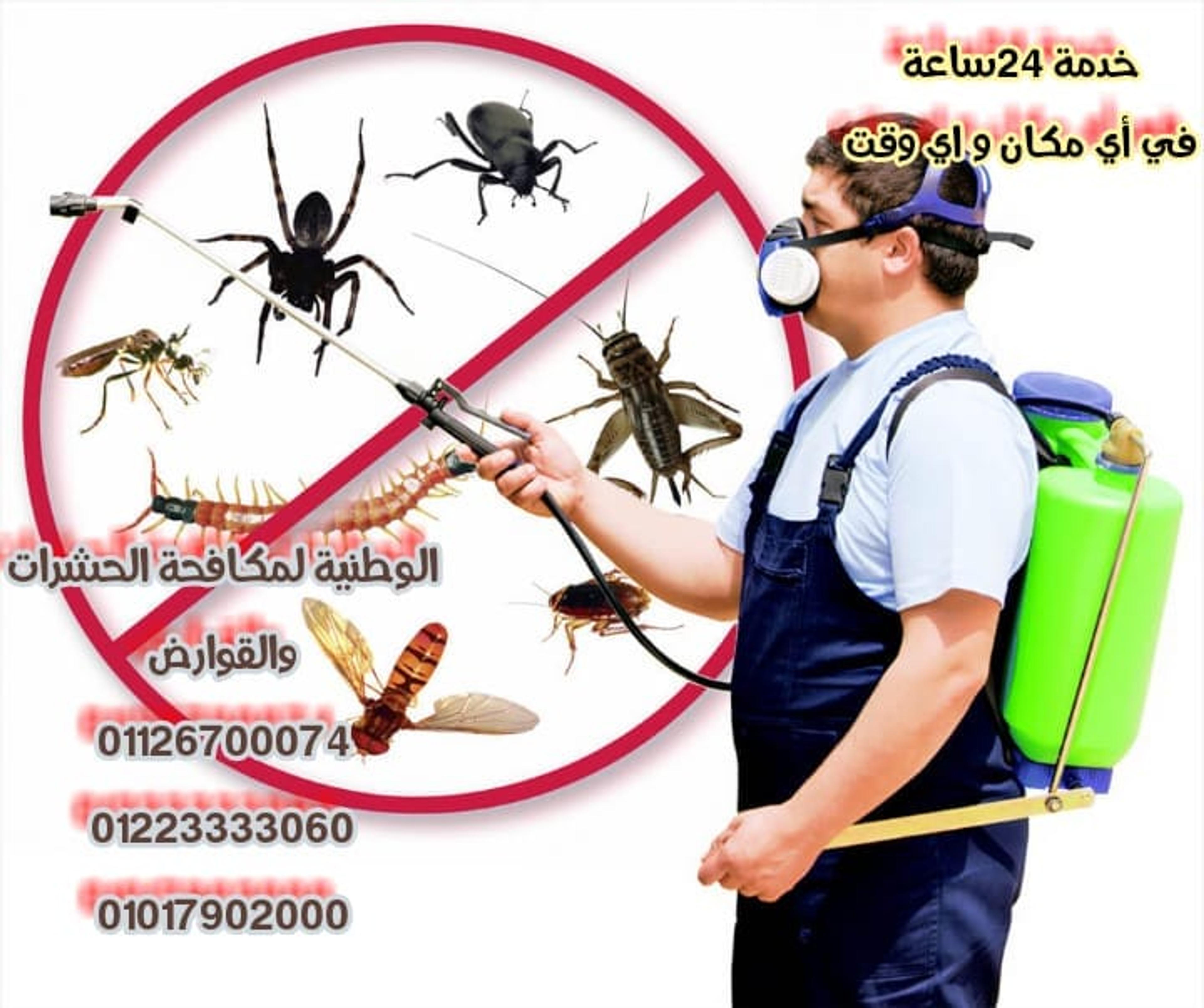 الوطنية لمكافحة الحشرات و القوارض