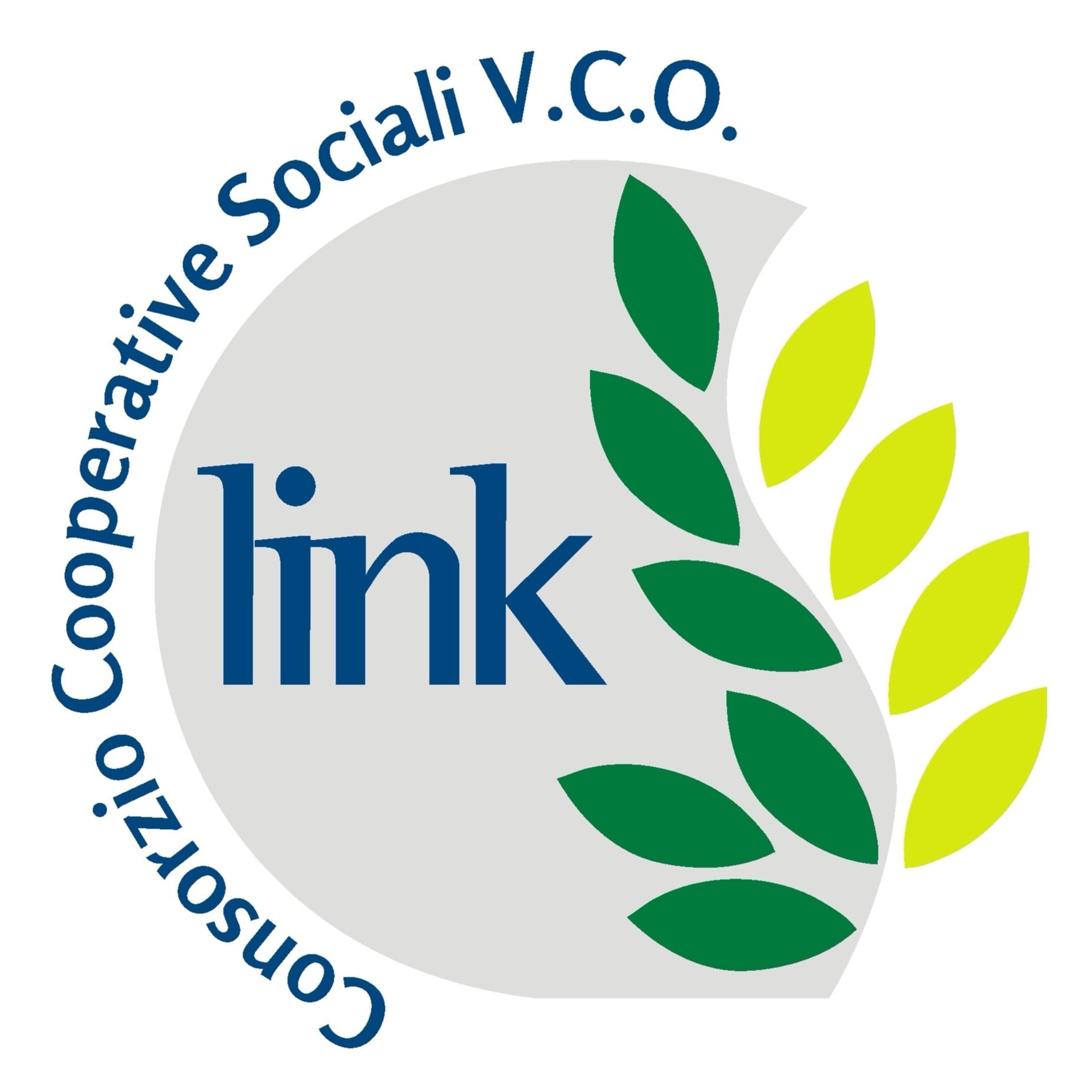 Link VCO Consorzio Sociale Società Consortile Cooperativa Onlus