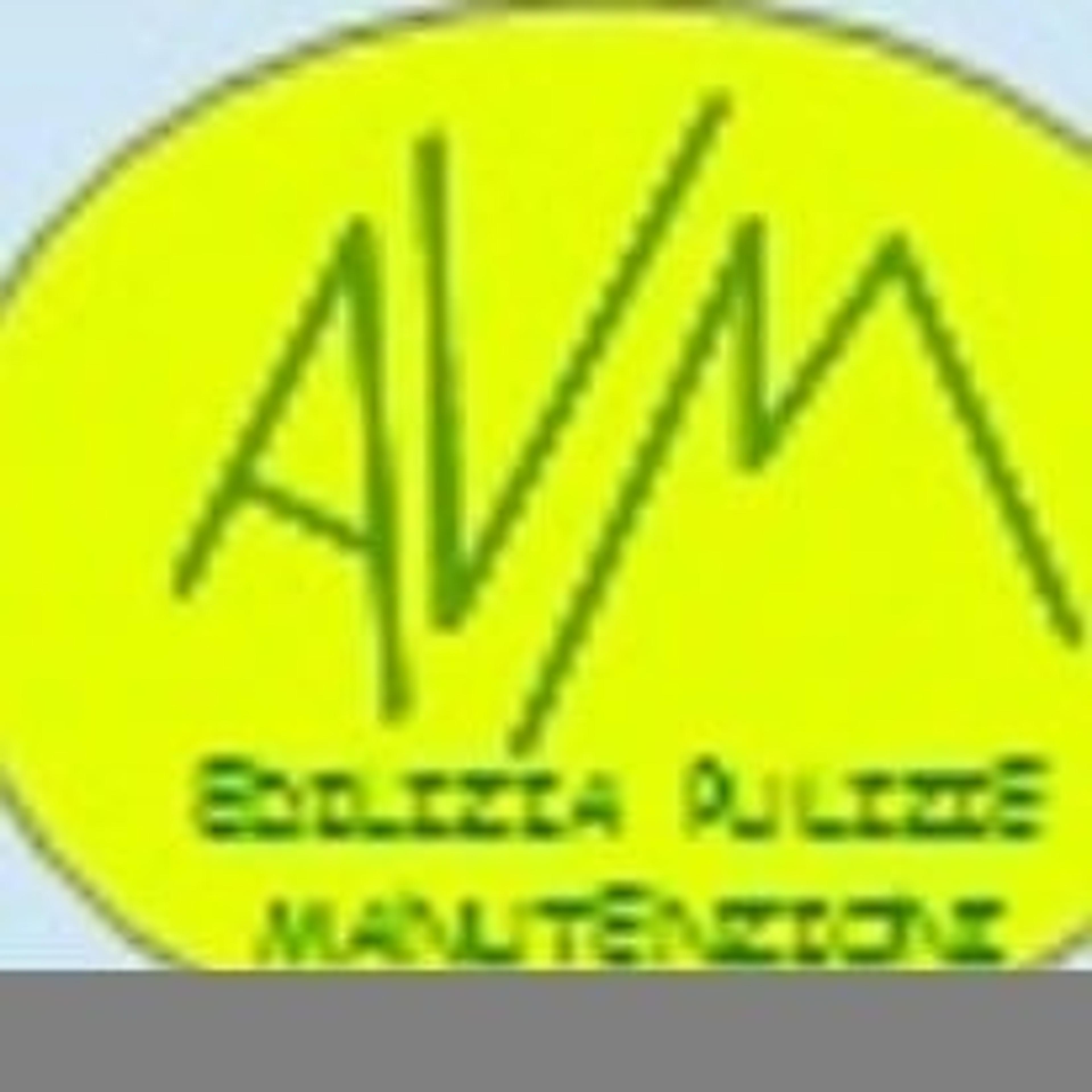 A.v.multiservice srl