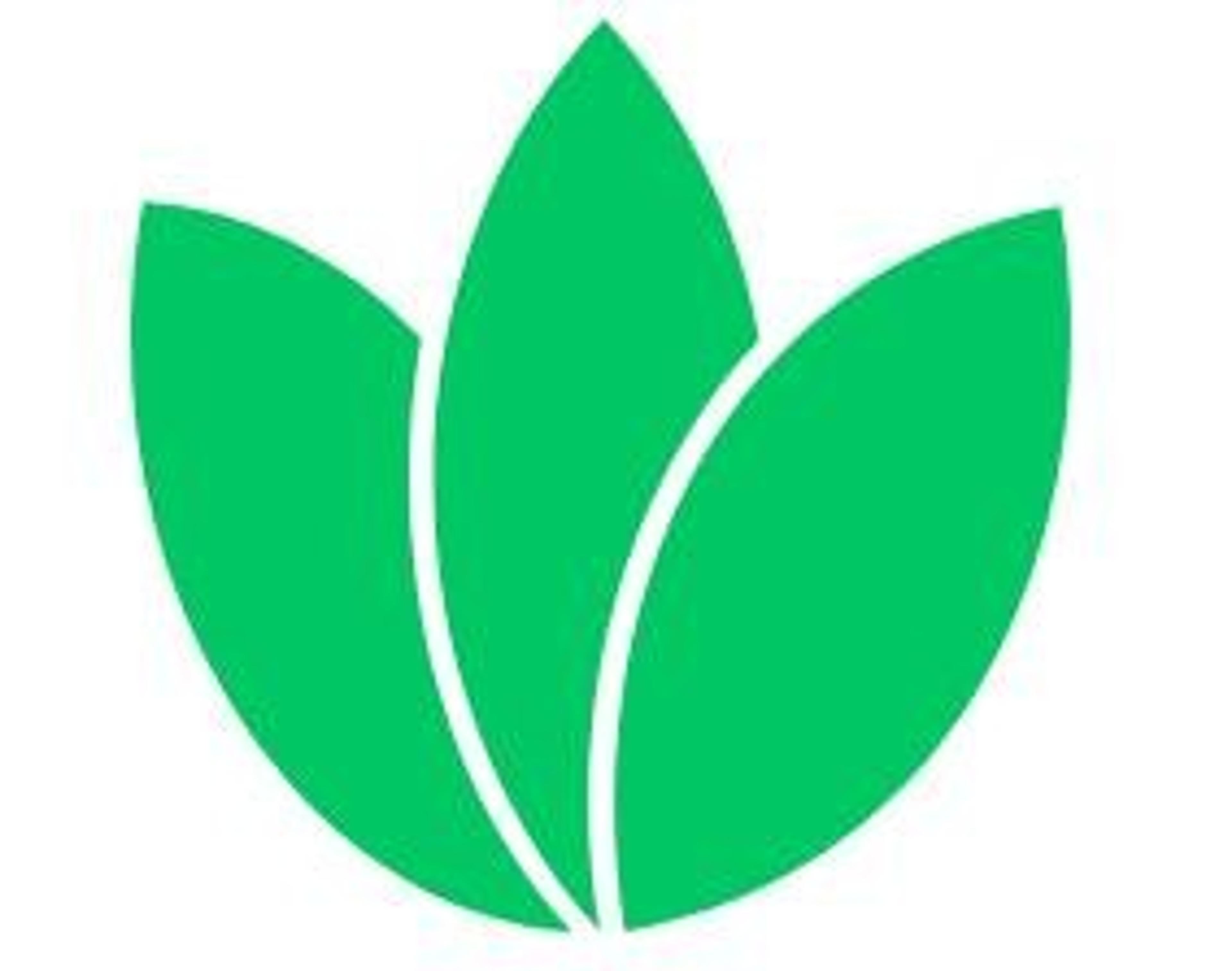 EMPIRE PRO SERVICES