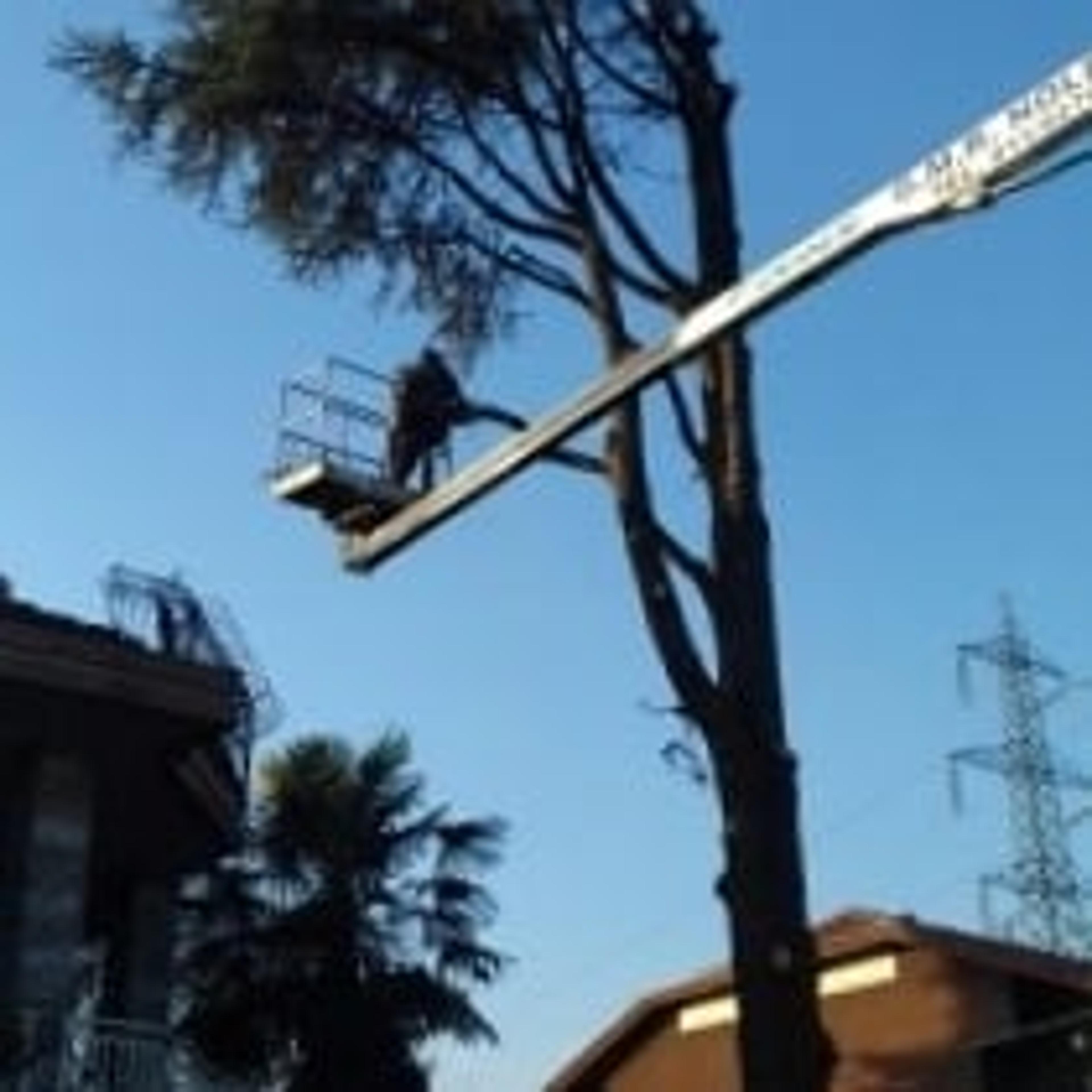 IL RUNCH DI MAJRANO LUCA