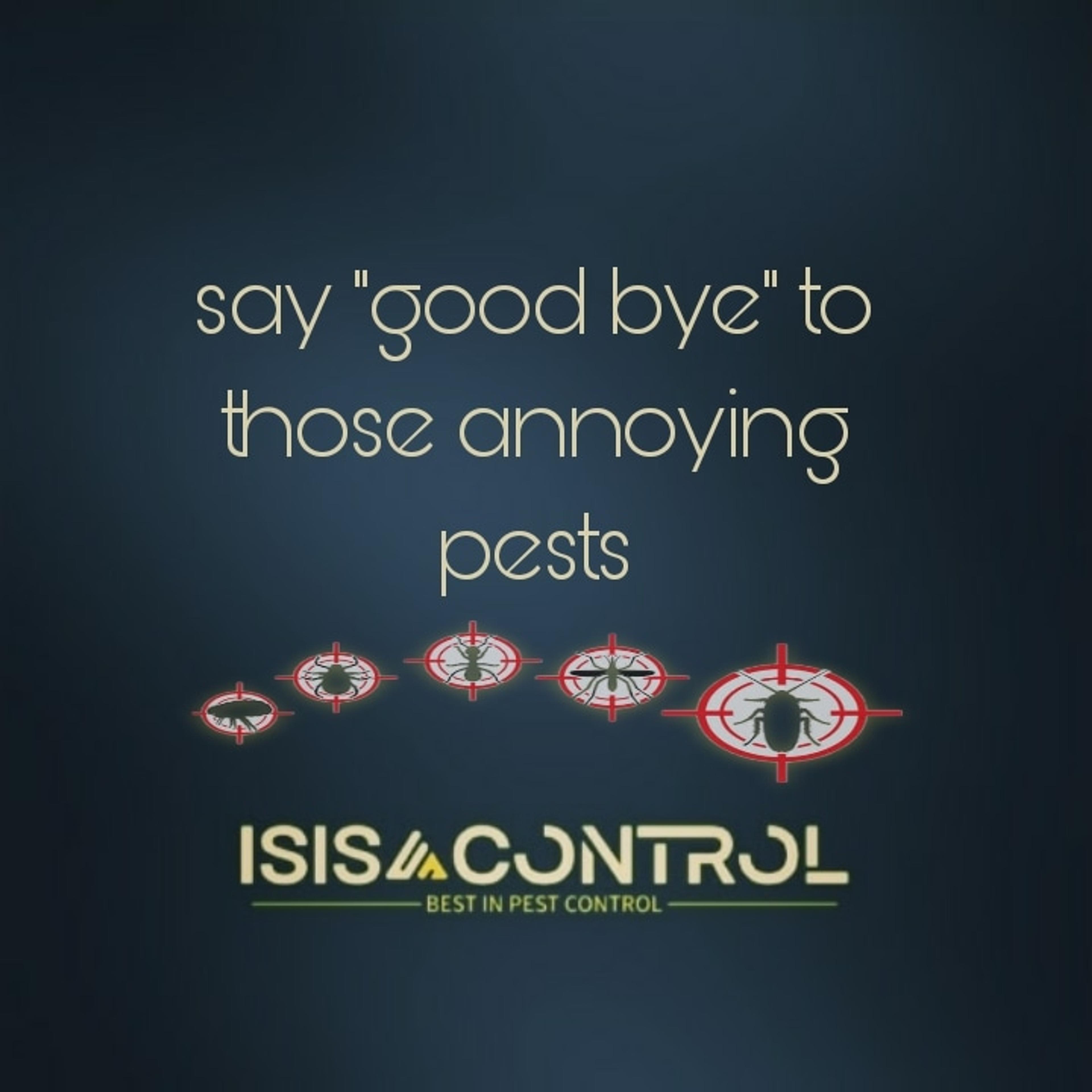 ISIS Control