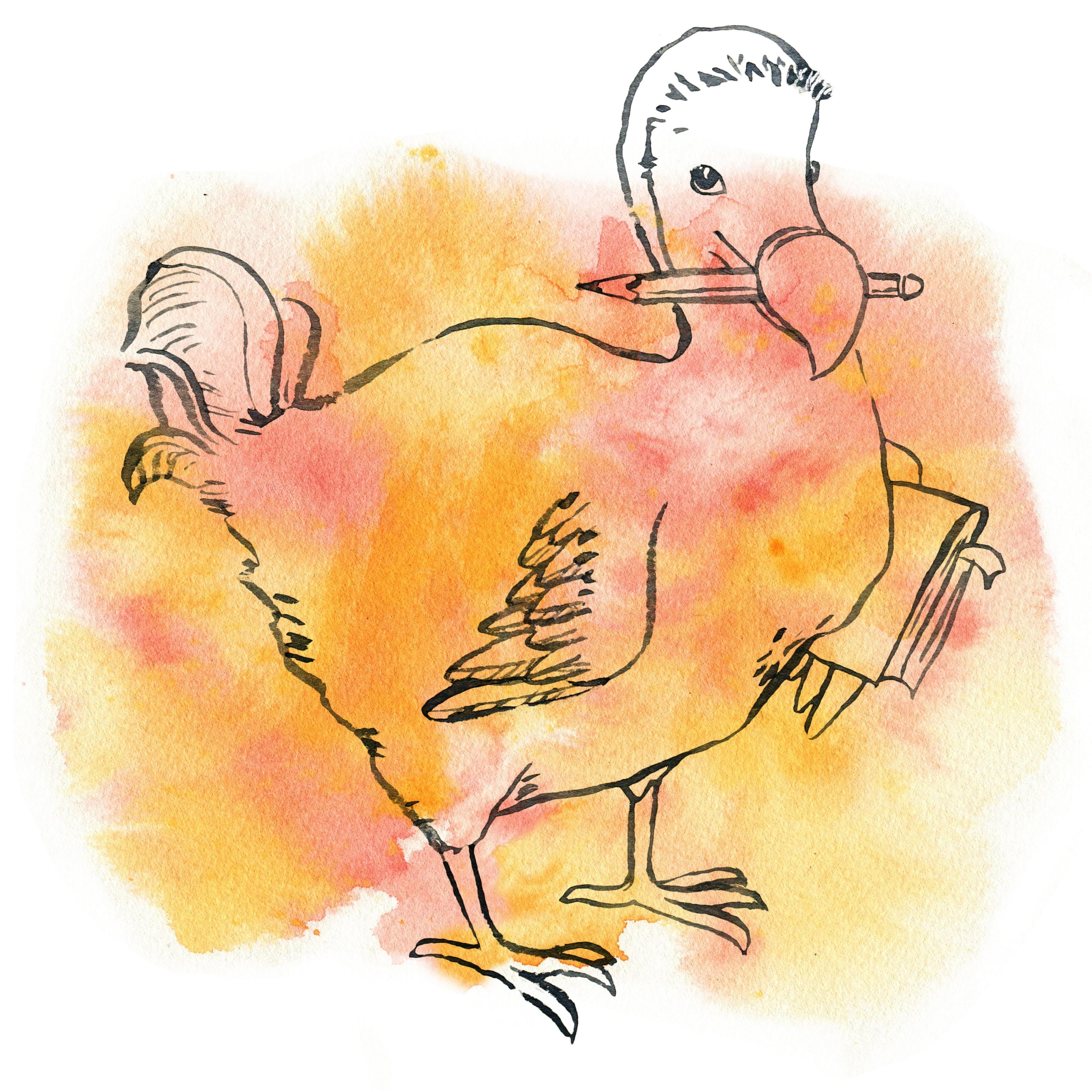 Dodos Denkwerkstatt