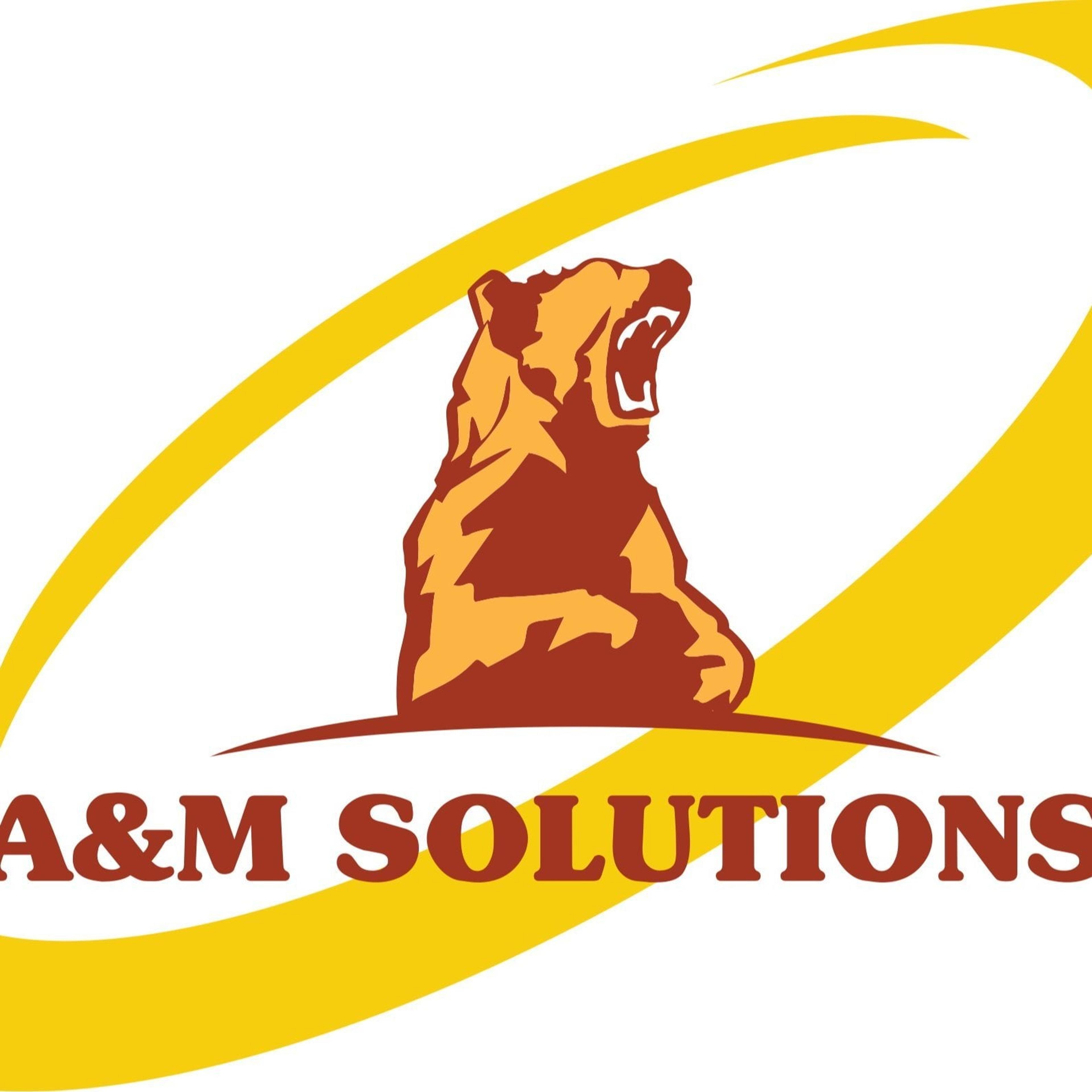 A&M Solutions sas Informatica e Organizzazione Aziendale