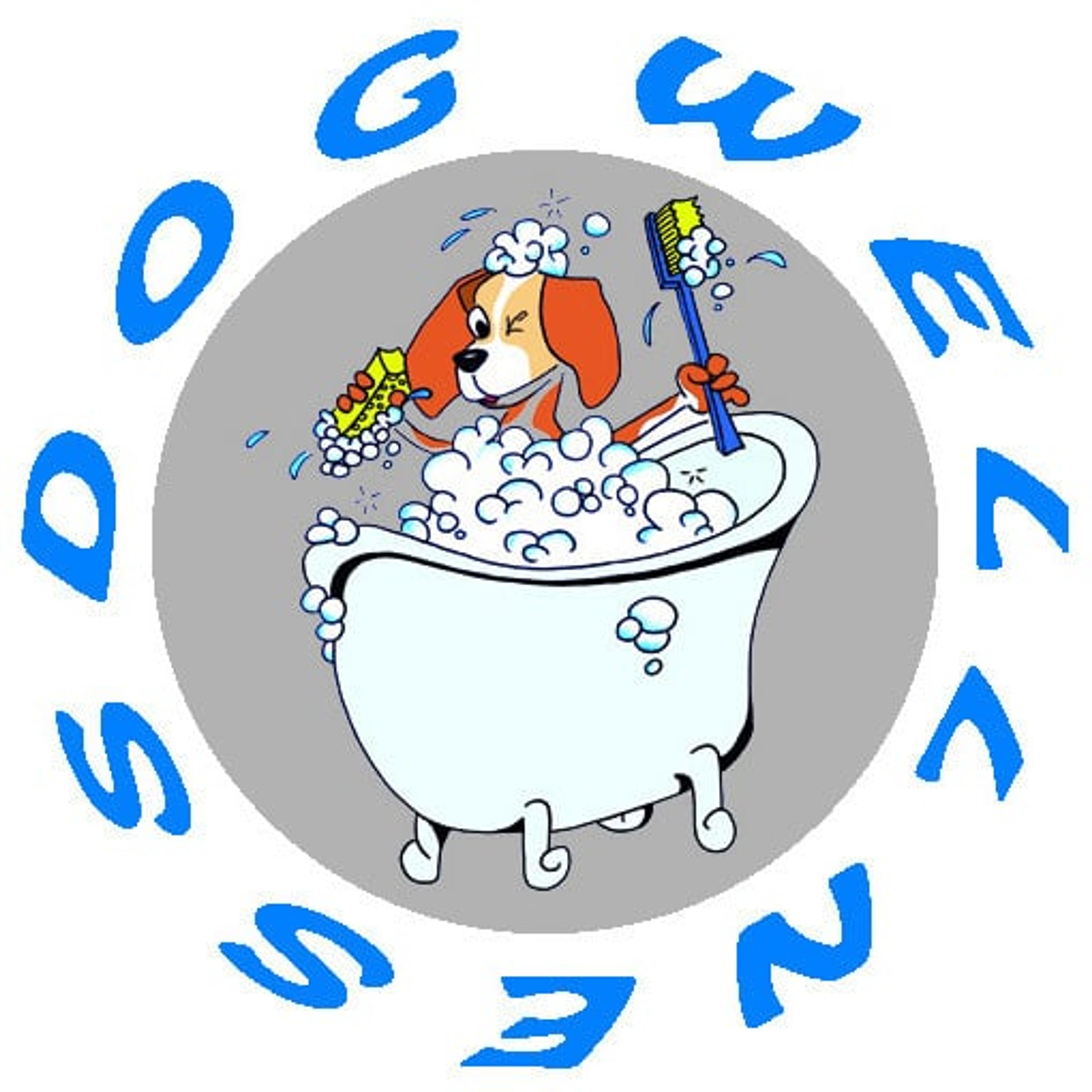 WELLNESS DOG di Tondo Laura e Bianco Loris: Lavaggio Self Service 24 su 24 & Toelettatura Profession