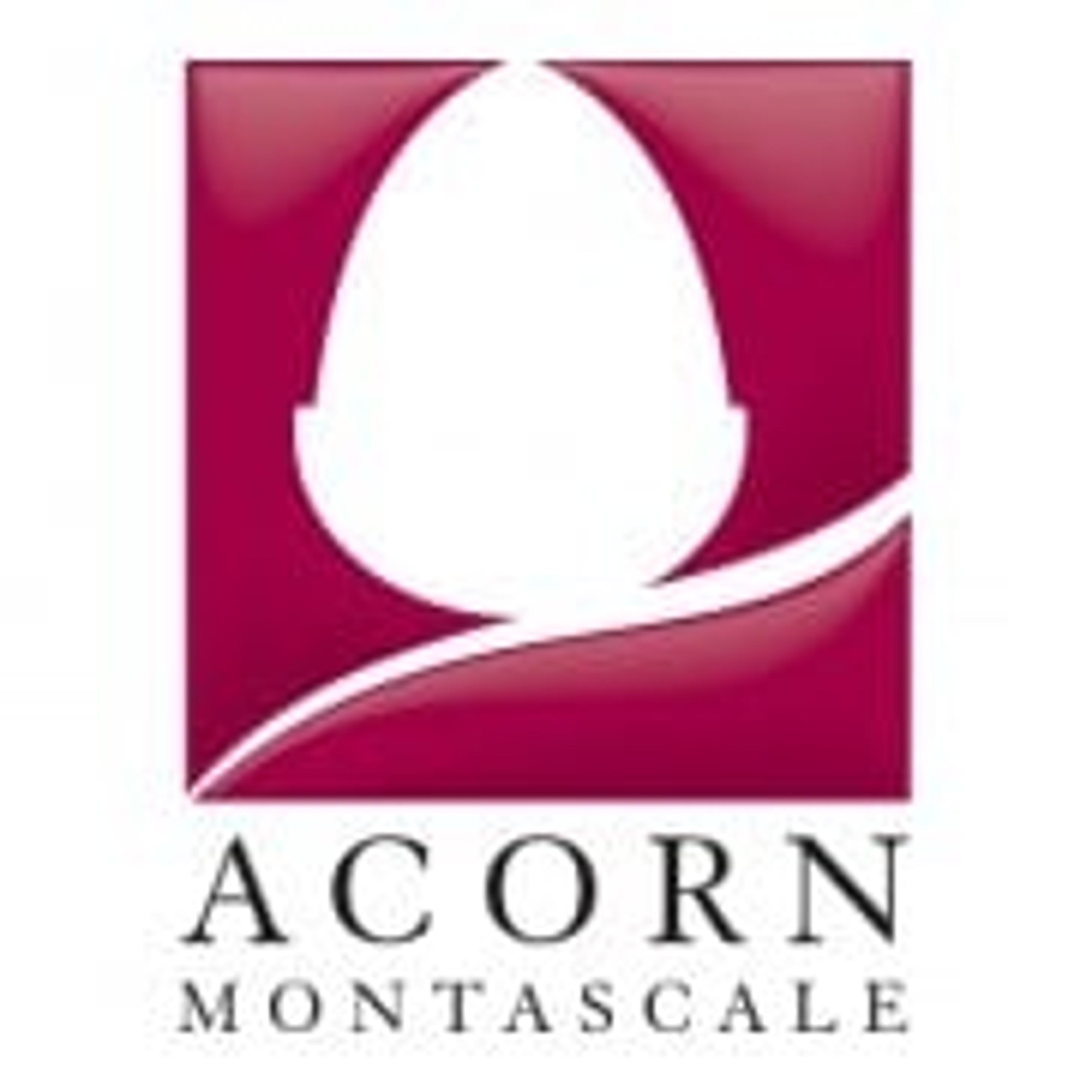 Acorn Montascale Srl Firenze