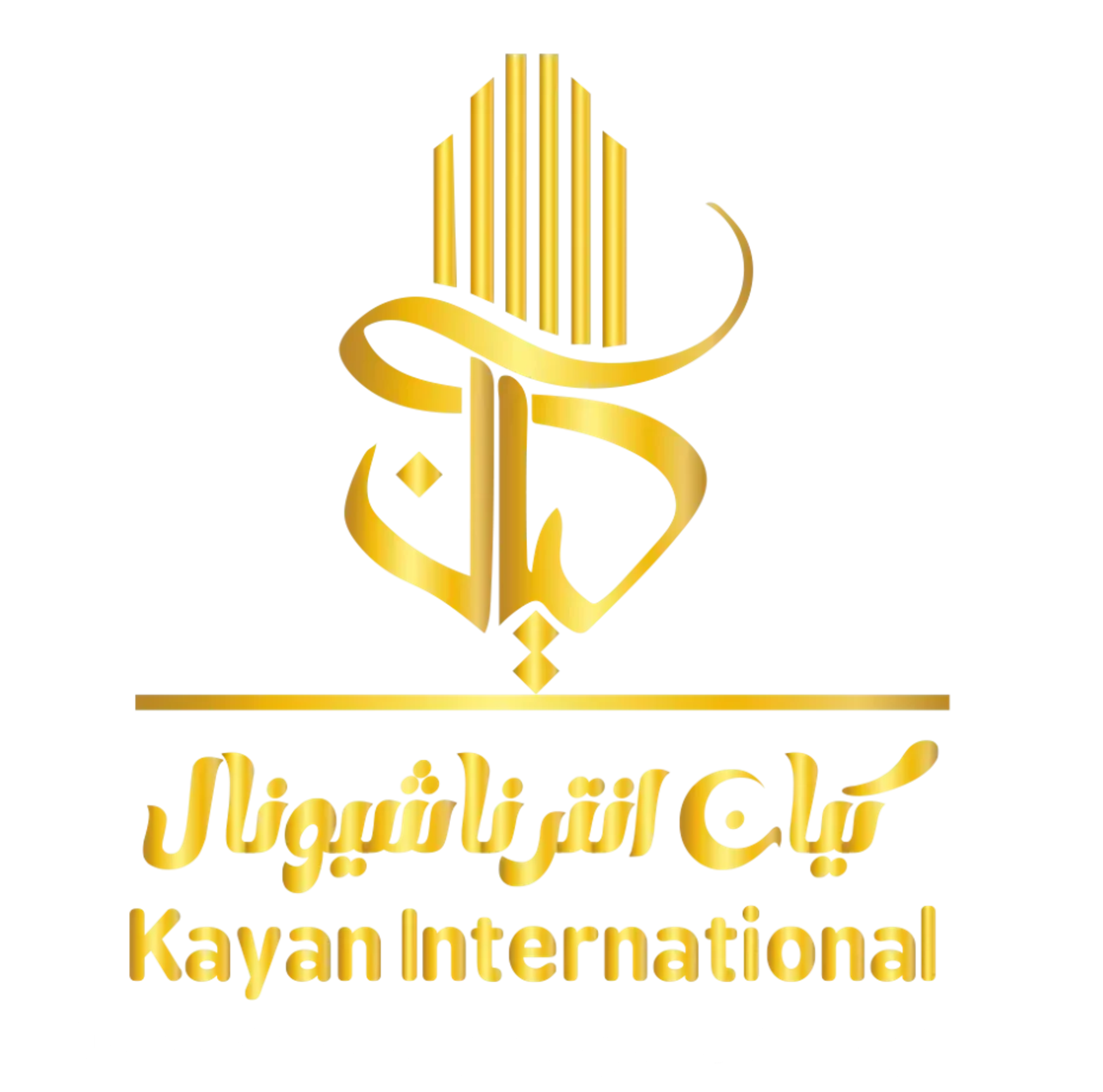 كيان انترناشوال للخدمات العامه