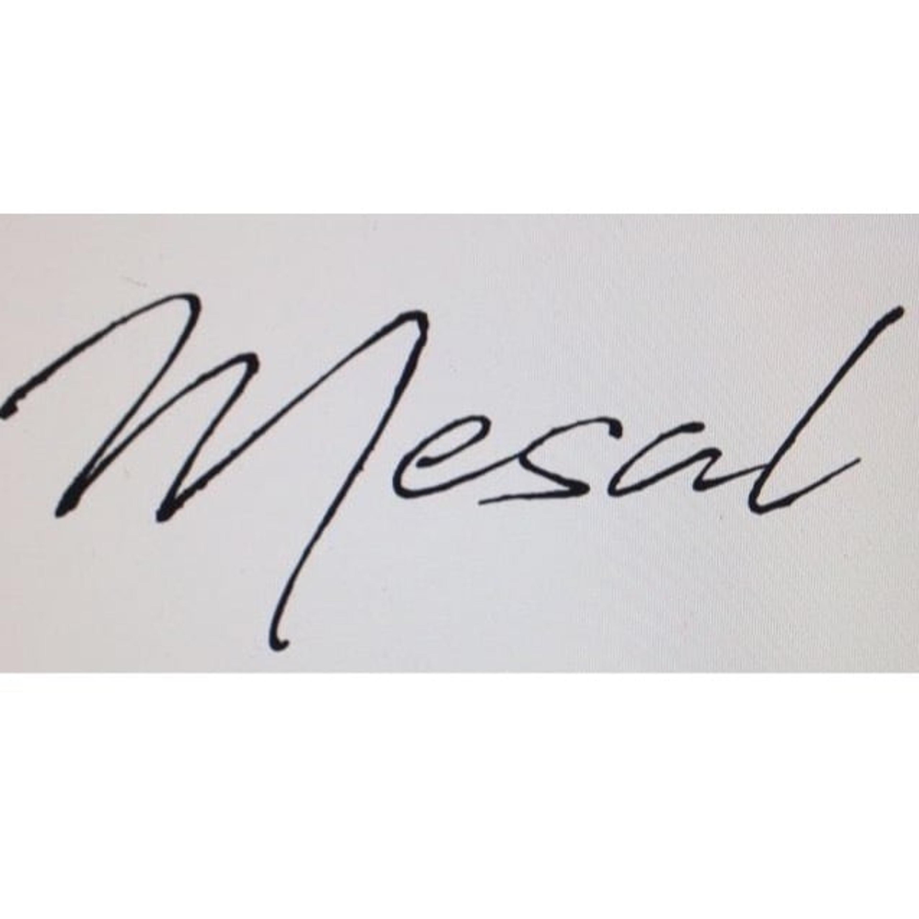 Mesal