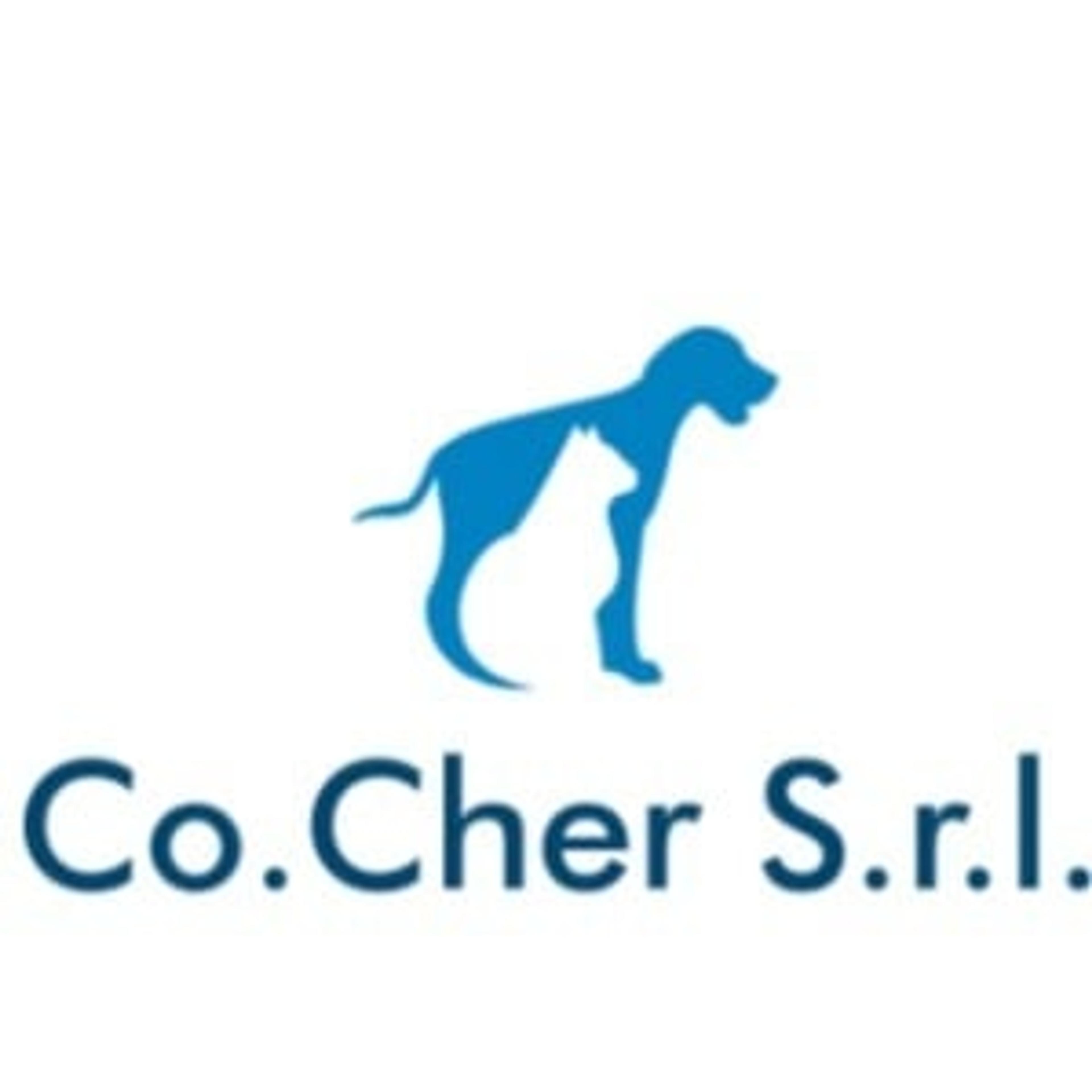 Co.Cher srl
