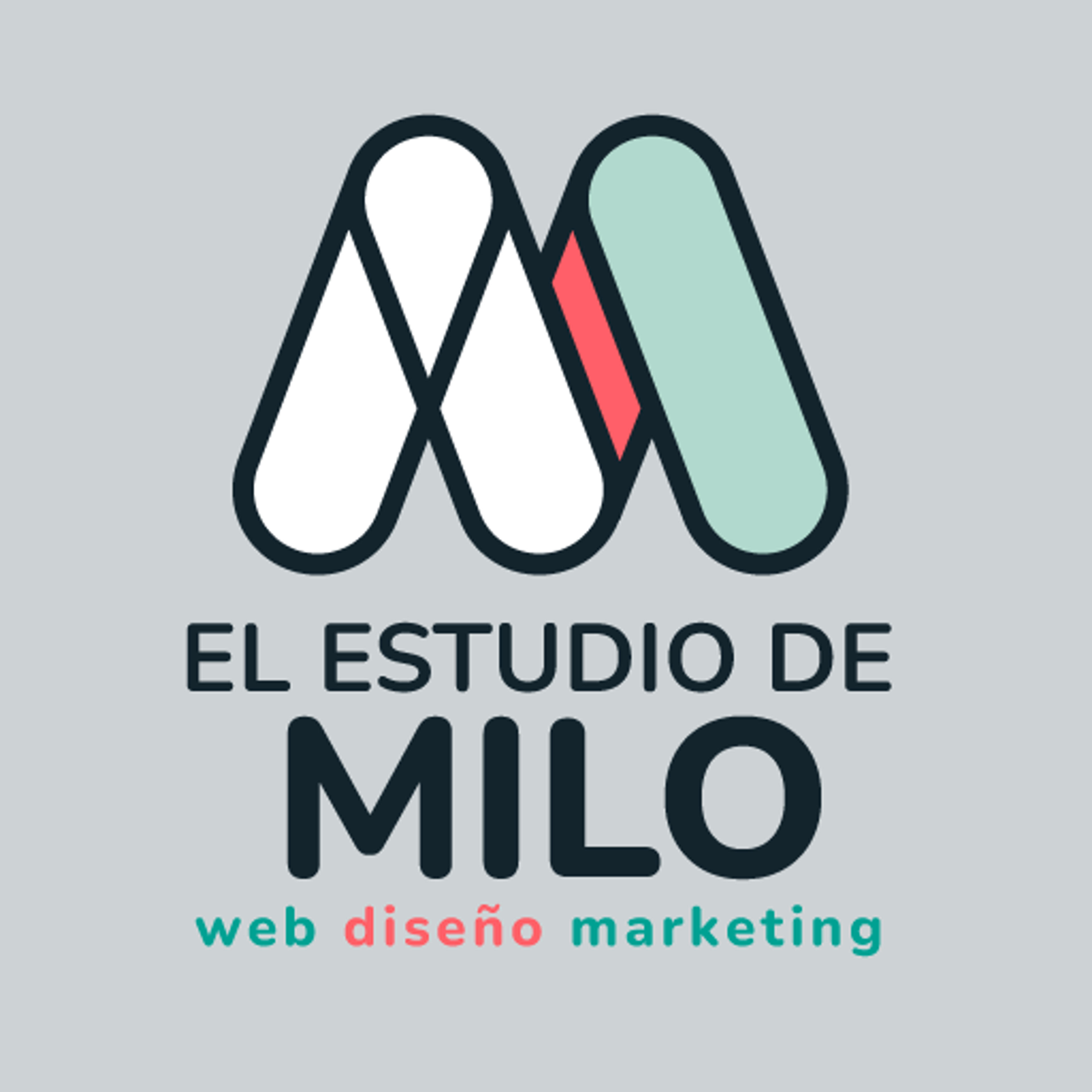 Diseñador de páginas web especializado en SEO