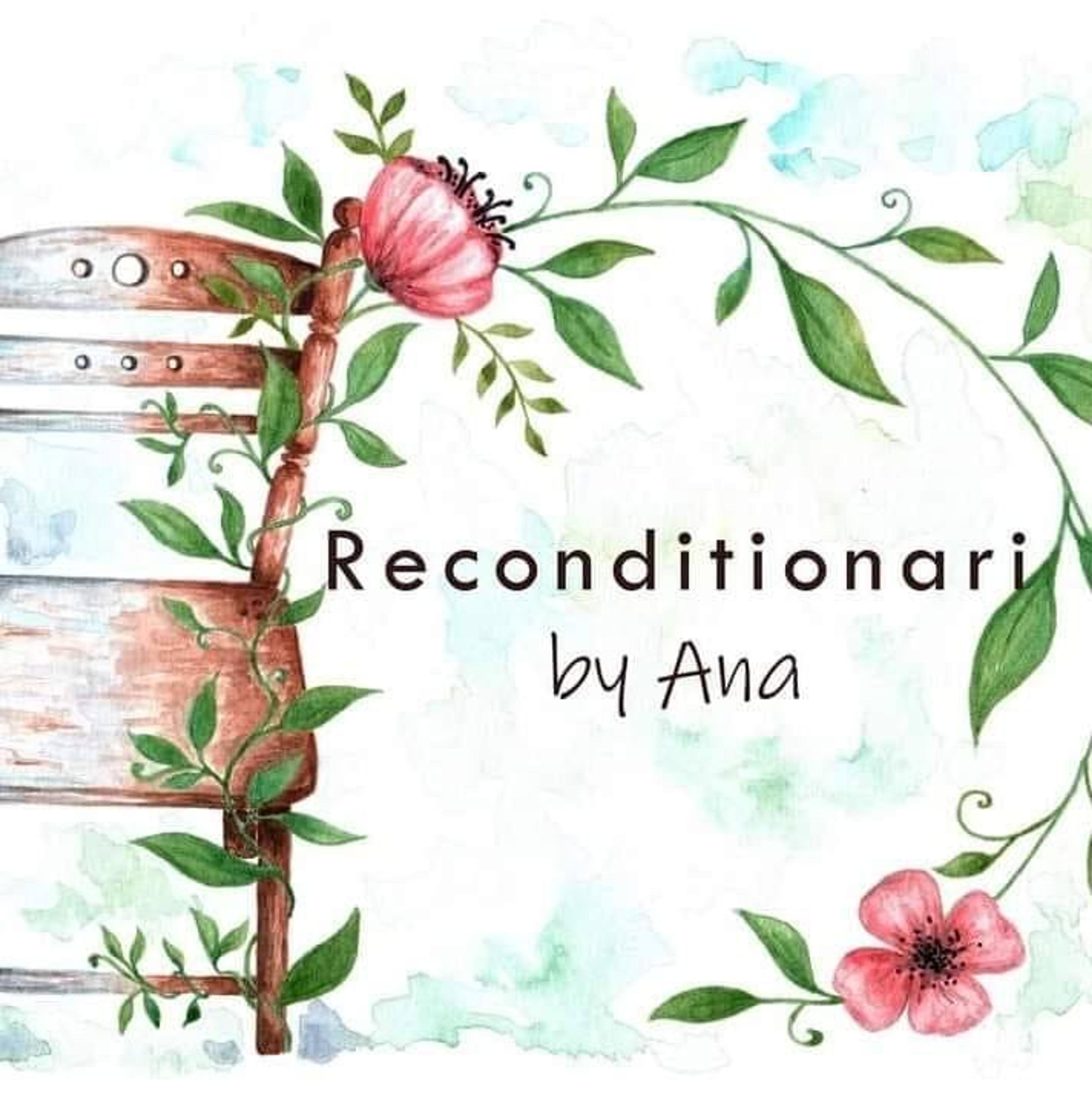 Reconditionari By Ana