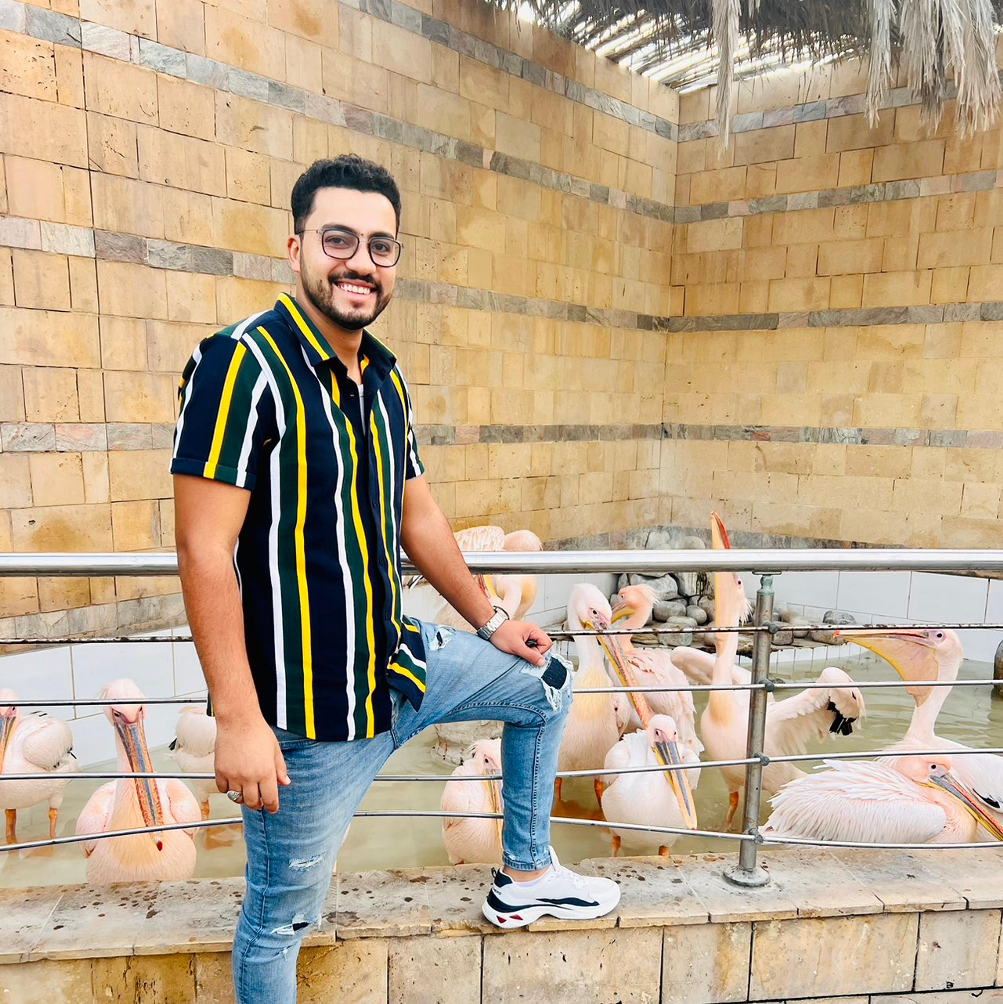 احمد محمد